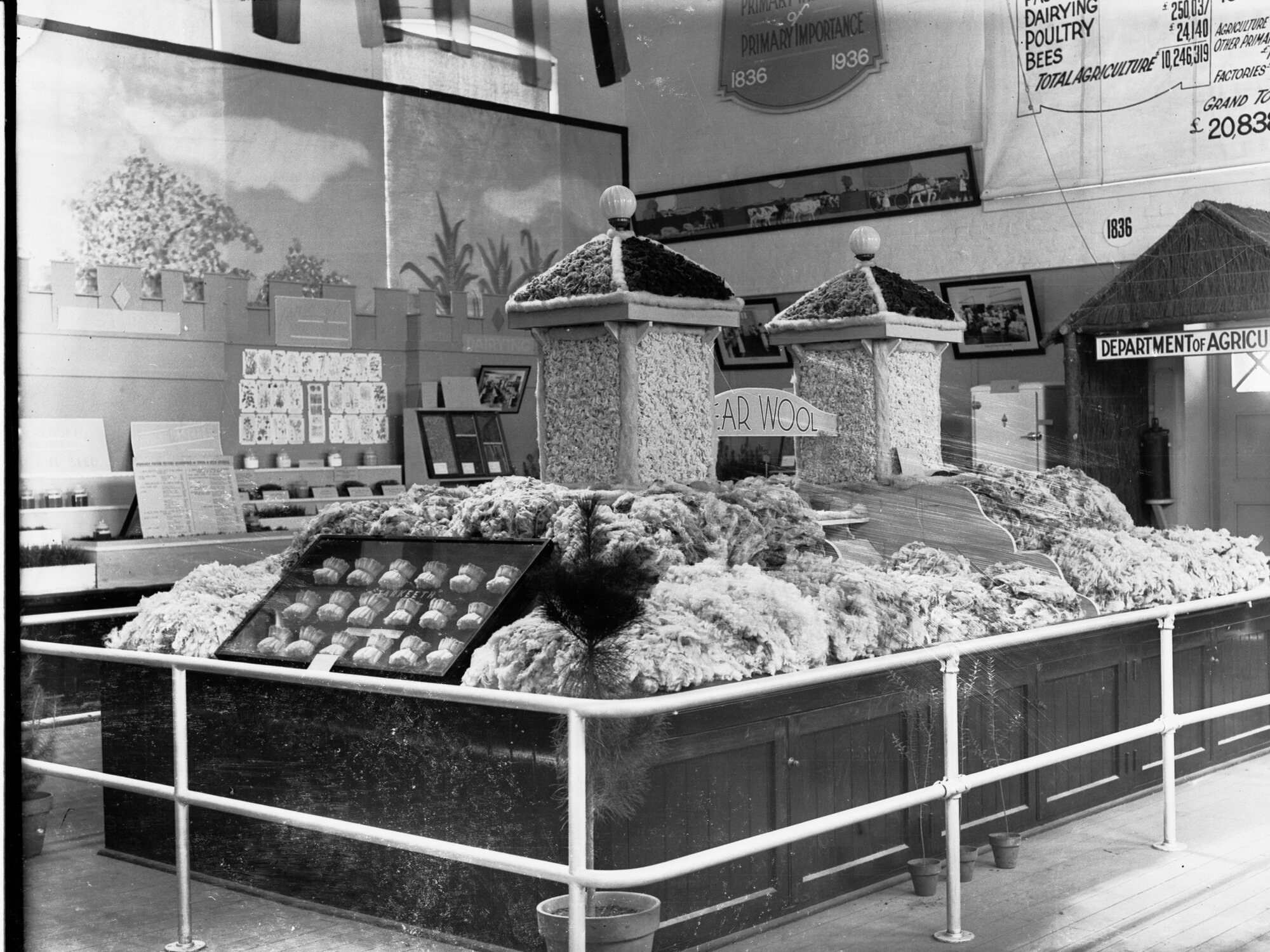 Exhibitions of wool for agricultural department