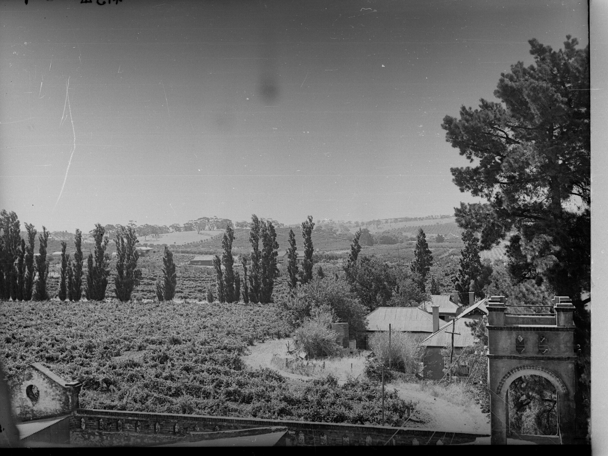 Angaston View from Yalumba Wine Cellars