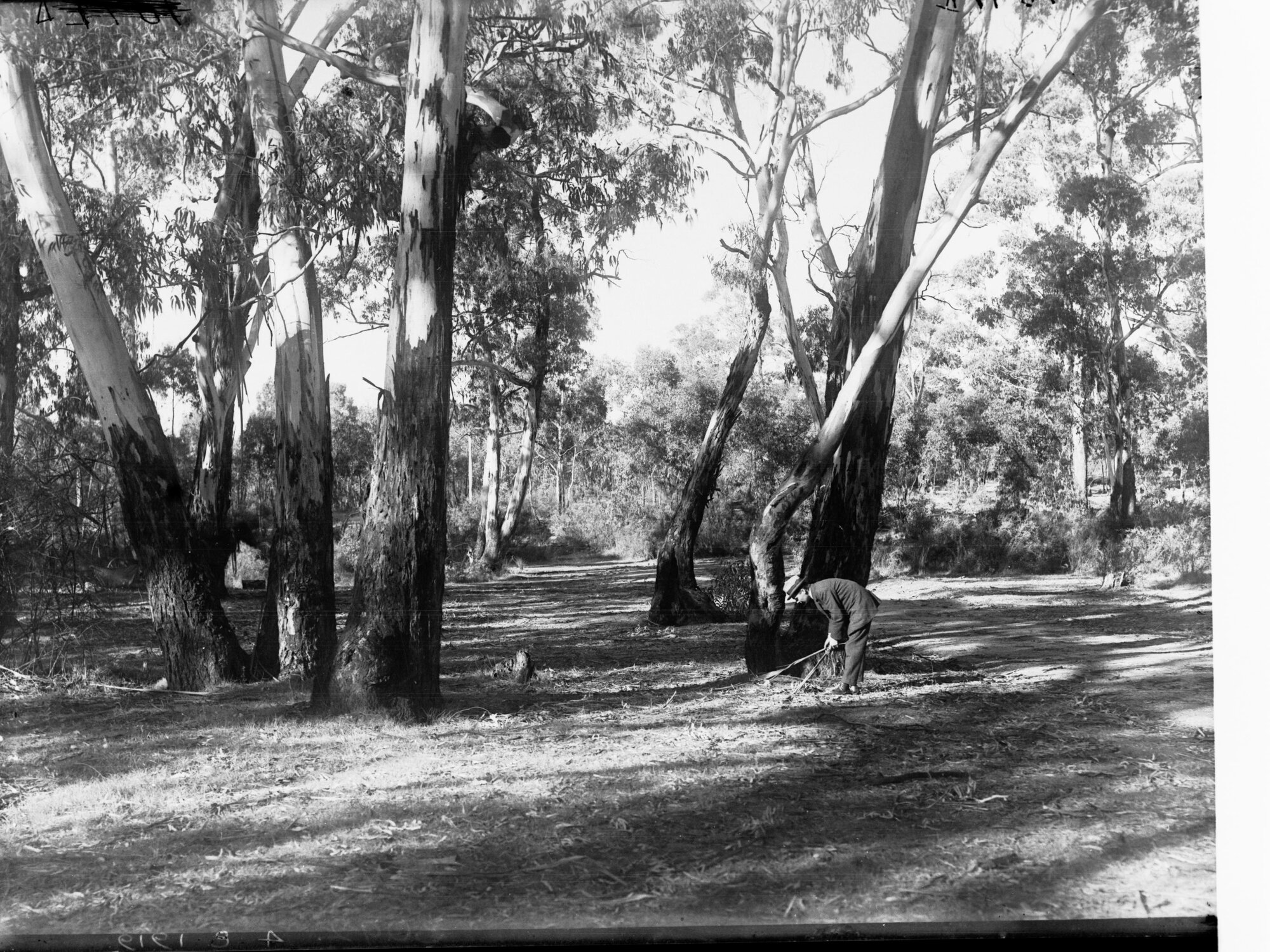 Mylor Reserve
