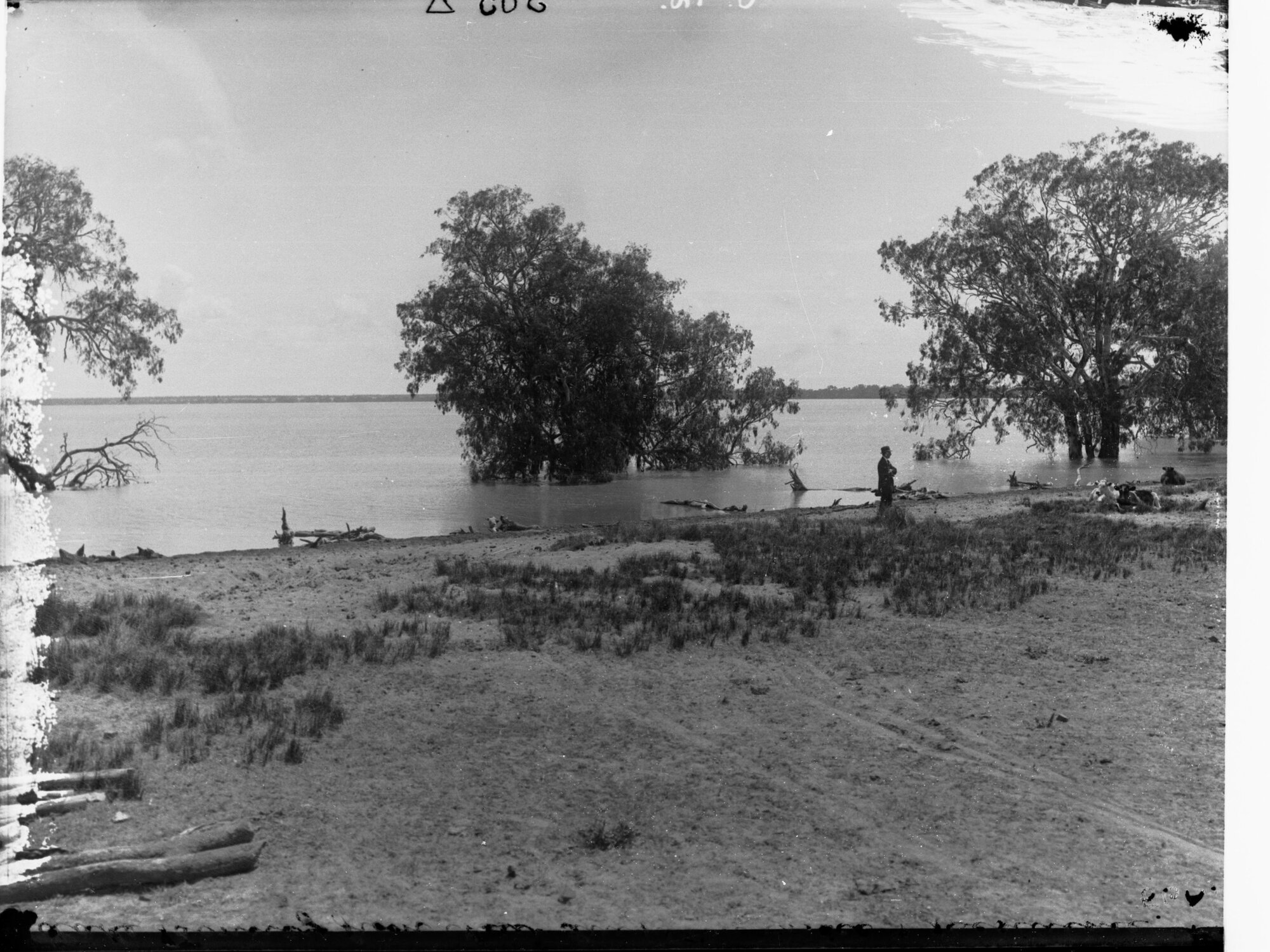 Lake Bonney From Old Irrigation Department Office