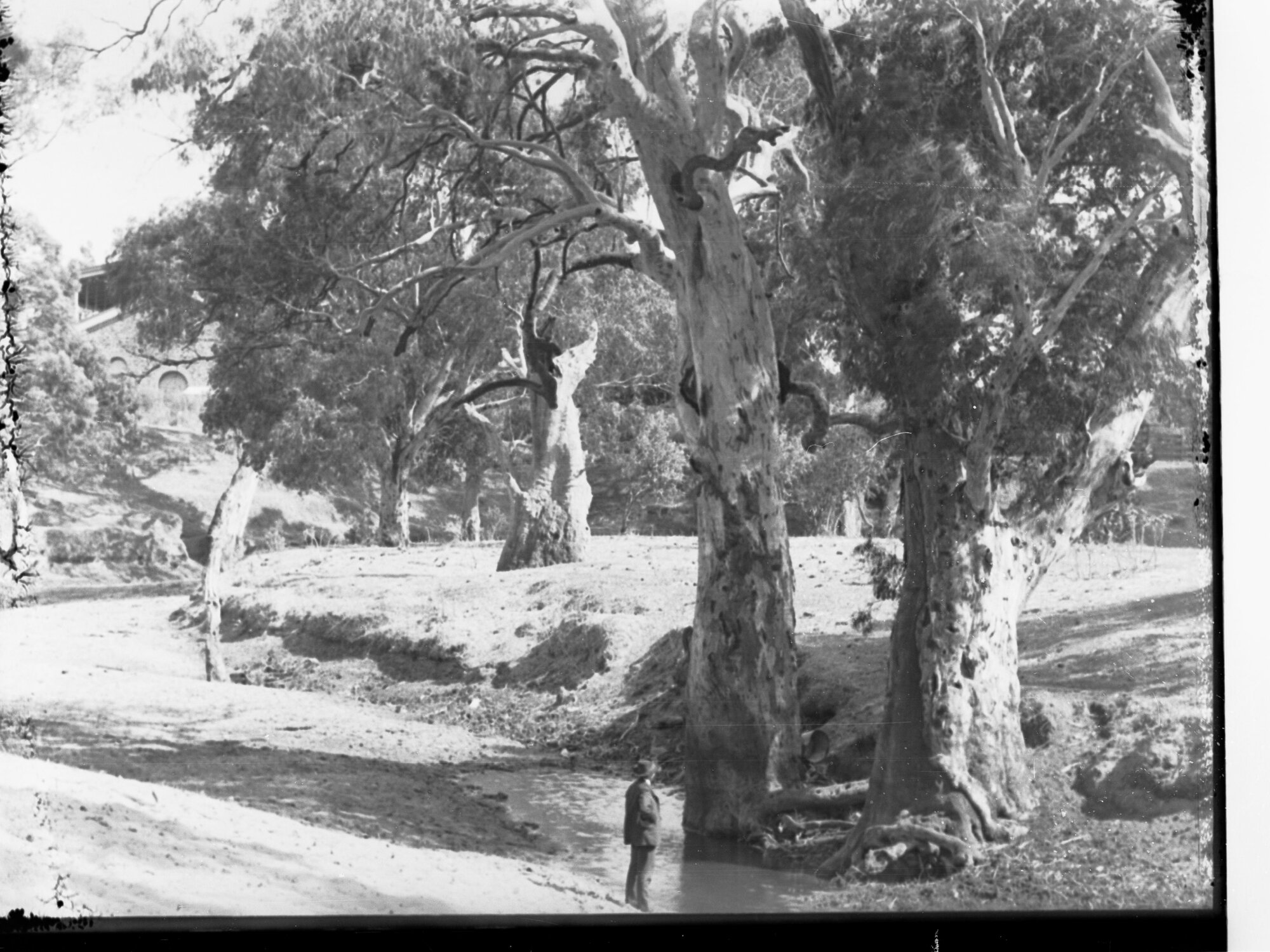 Rural View showing man near tree