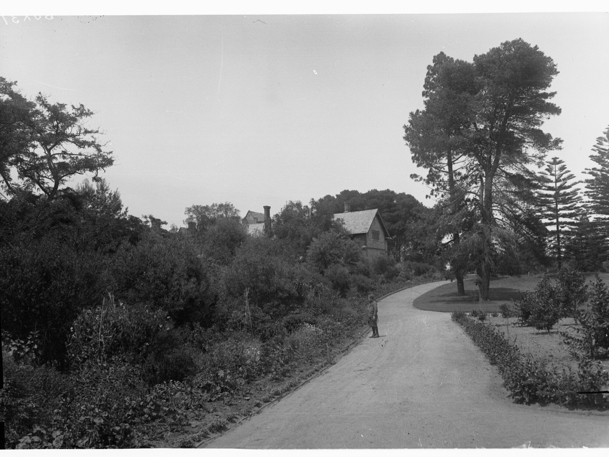 Boy in Botanic Gardens showing large building in background
