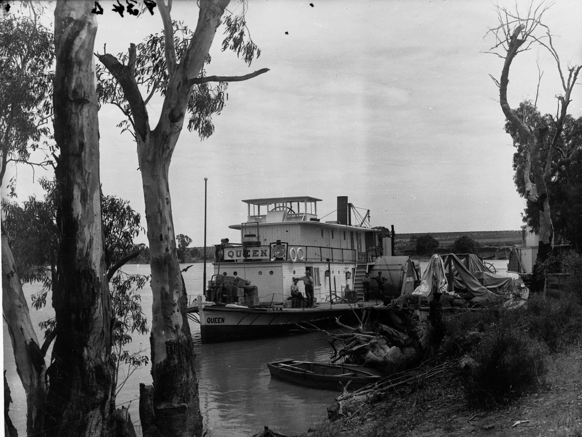 Paddlesteamer Queen on River Murray