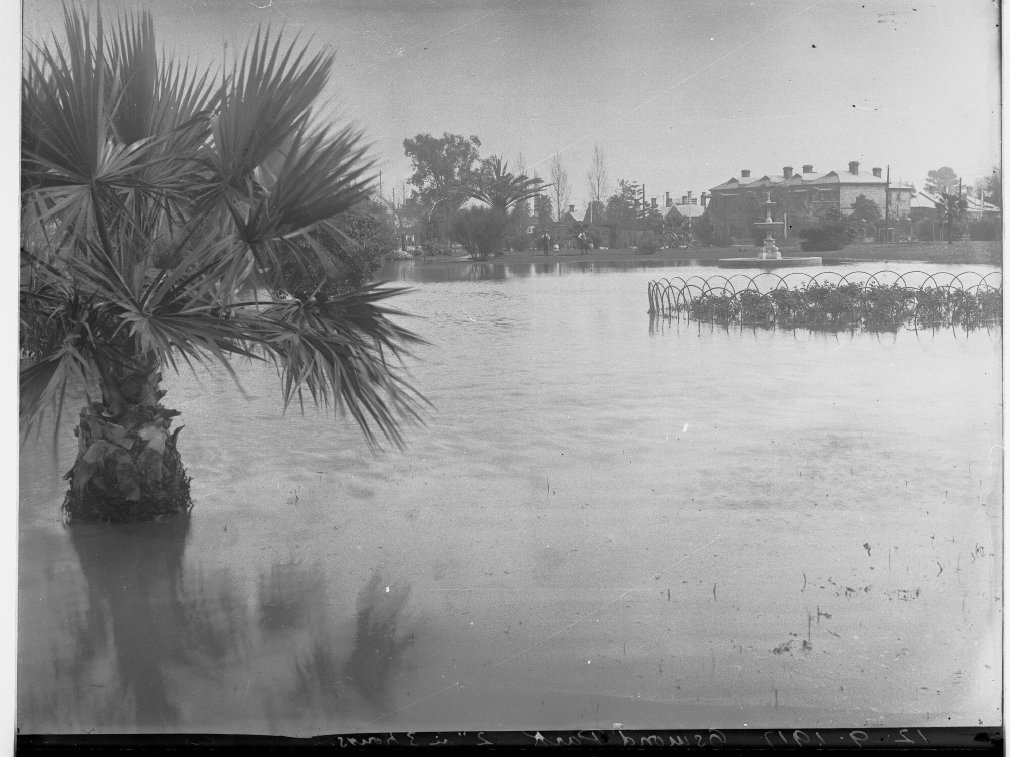 View of flooding at Osmond Park - showing a palm tree and fountain