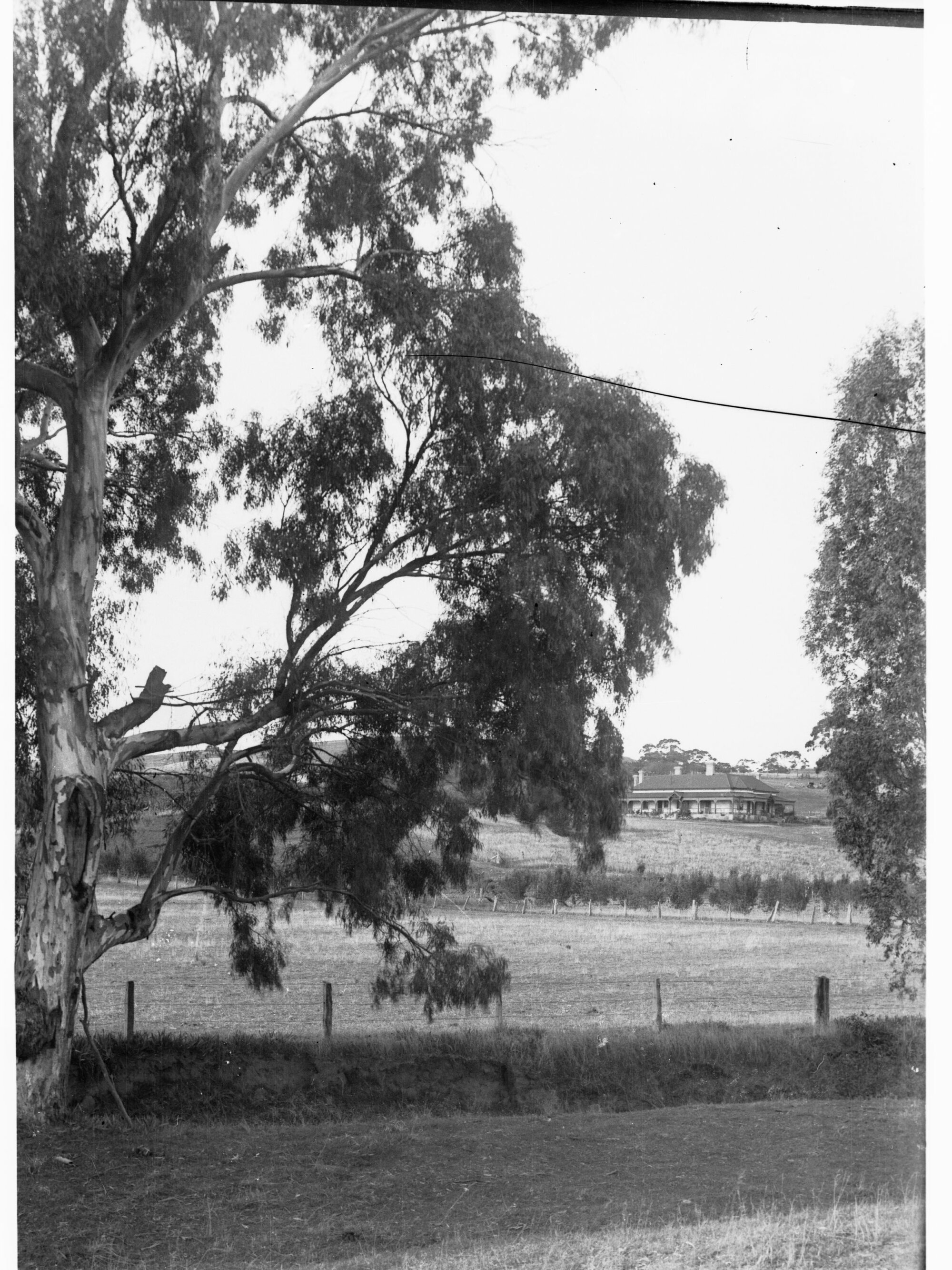 Homestead at Angaston