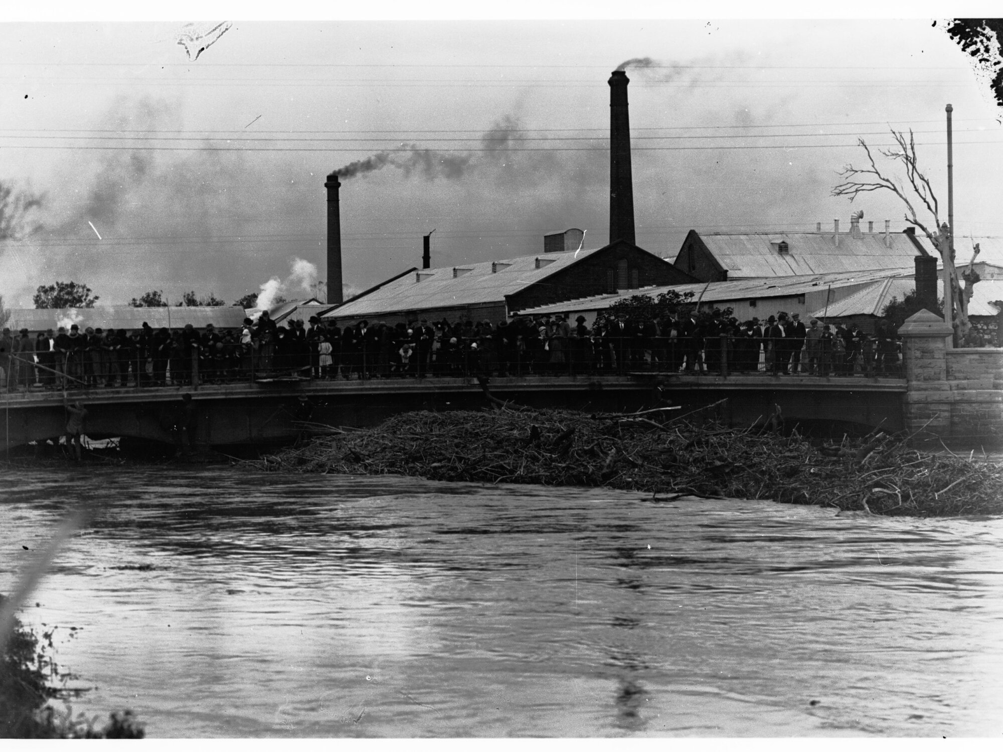 Crowd Gathered Possibly Taylors Bridge, South Road