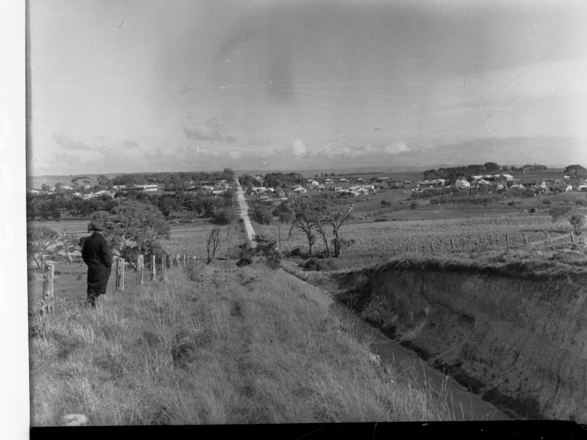 Man standing on hill overlooking McLaren Vale