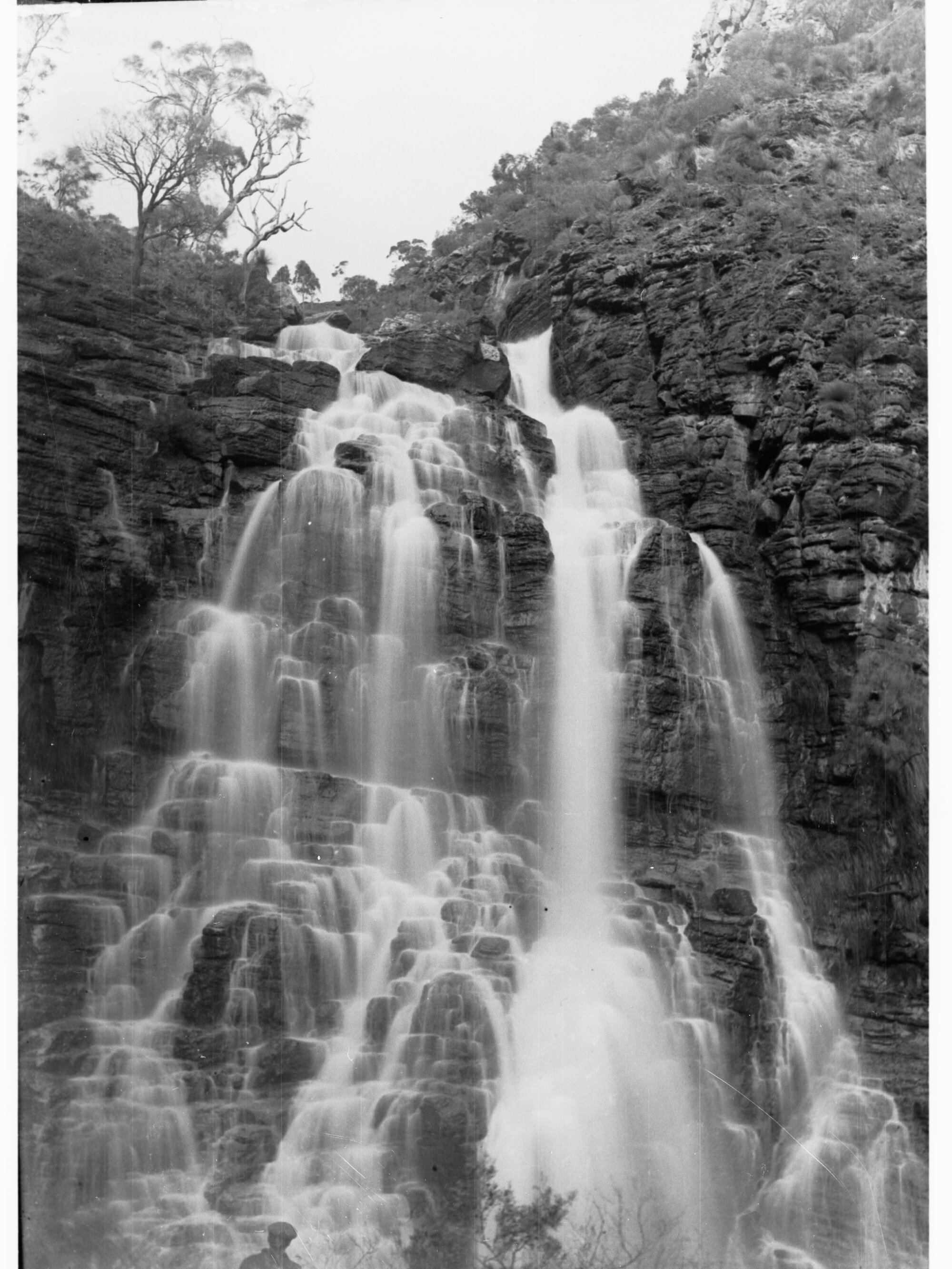Morialta Falls, Morialta Reserve