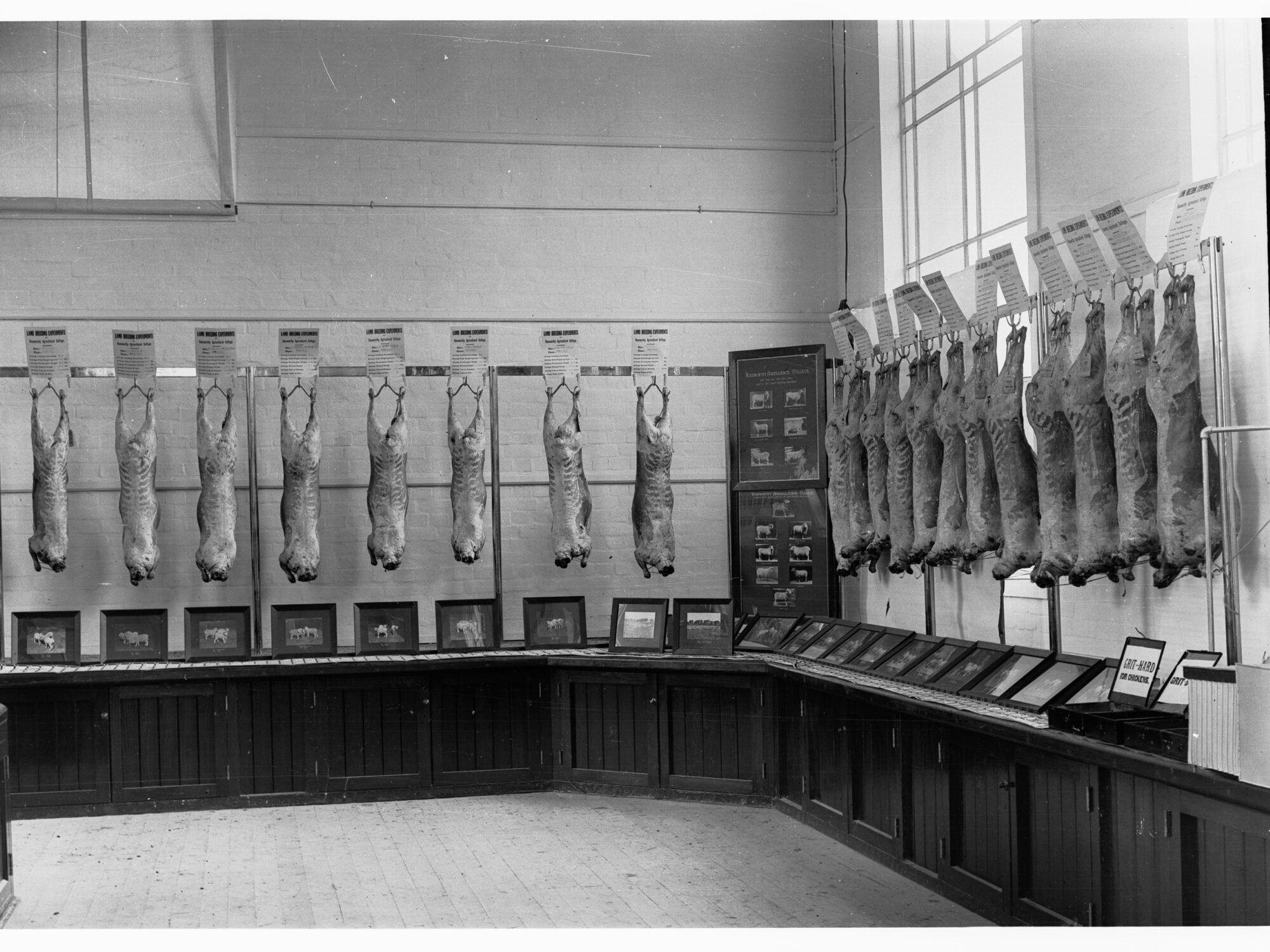 Agricultural Department show - meat exhibit