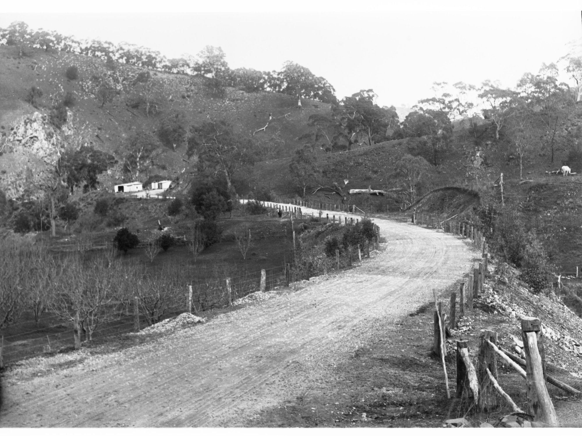 Torrens Gorge Road Showing Surrounding Hillside Sheds