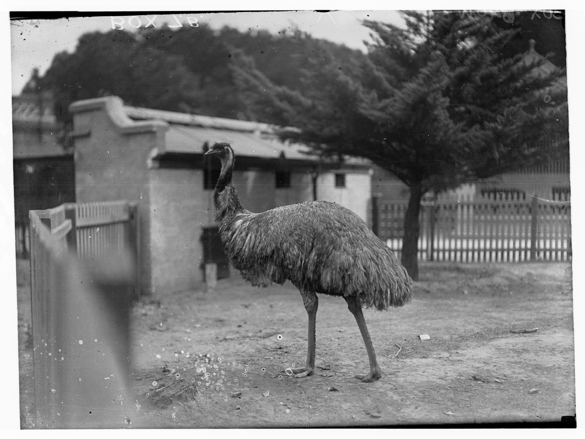 Adelaide Zoo