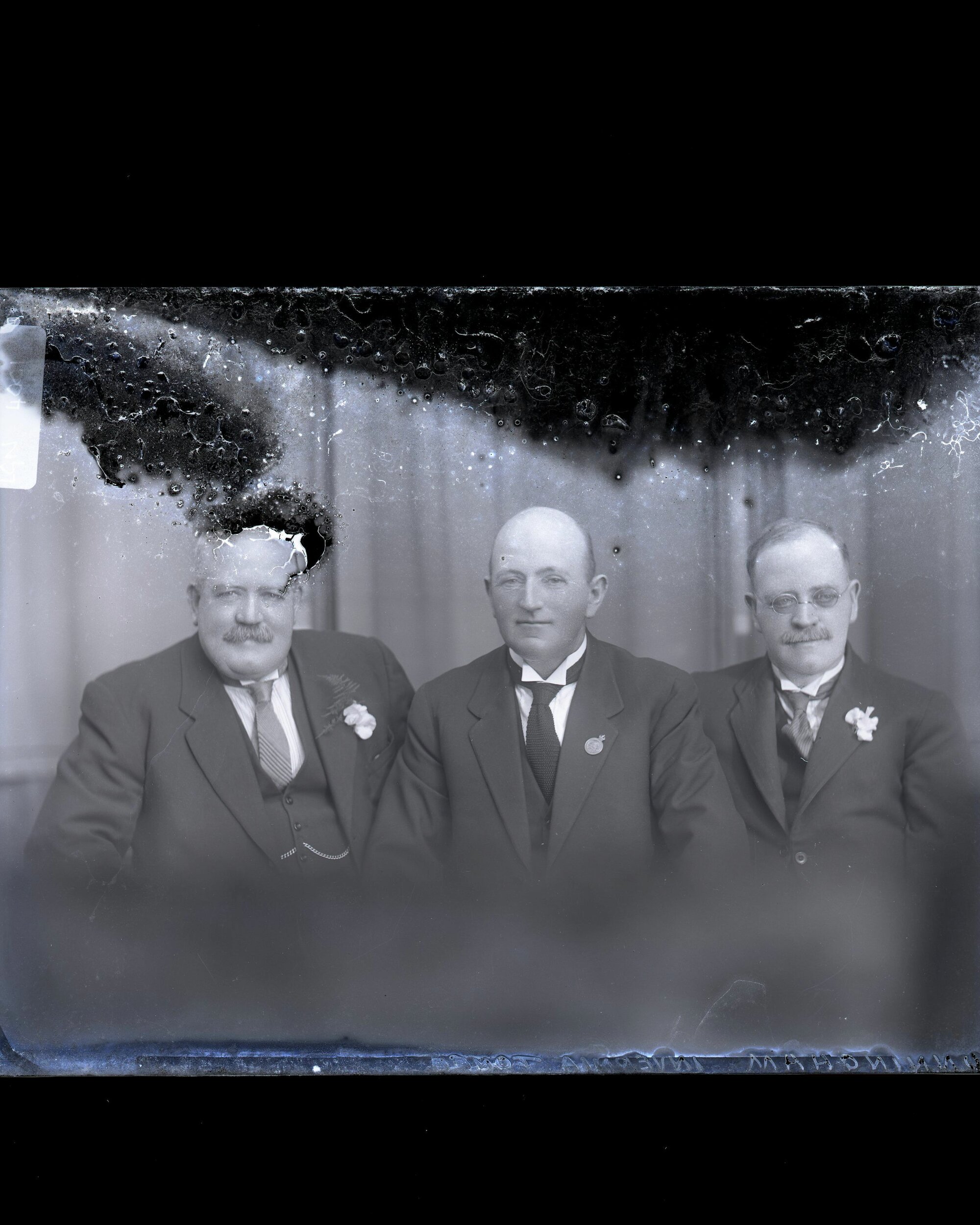 Males - Cunningham