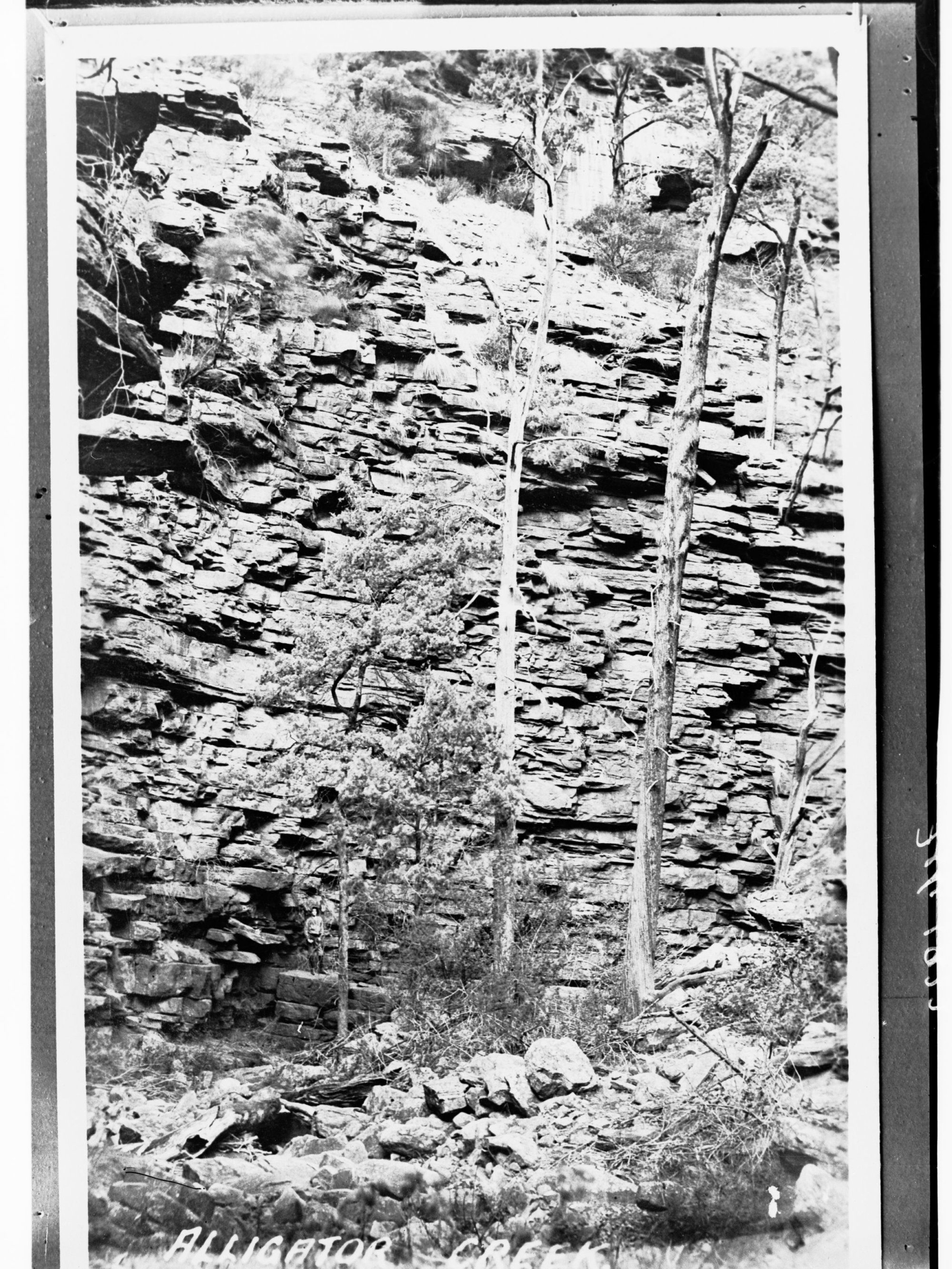 Alligator Creek (Alligator Gorge), Flinders Ranges | History Trust