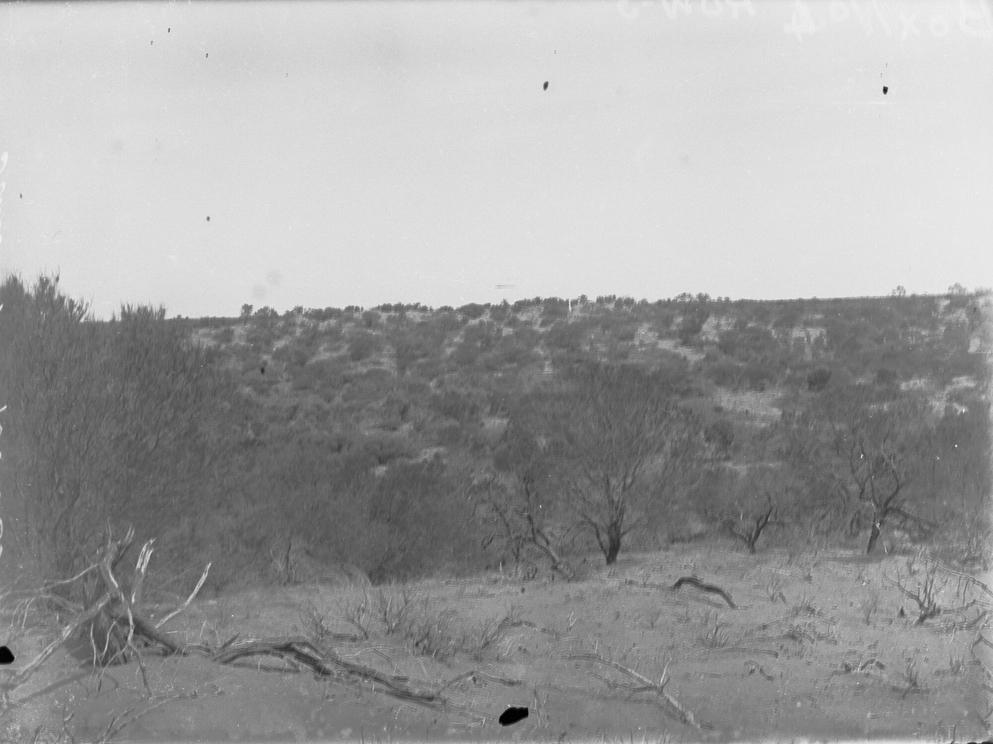 Sand Hills, Ooldea