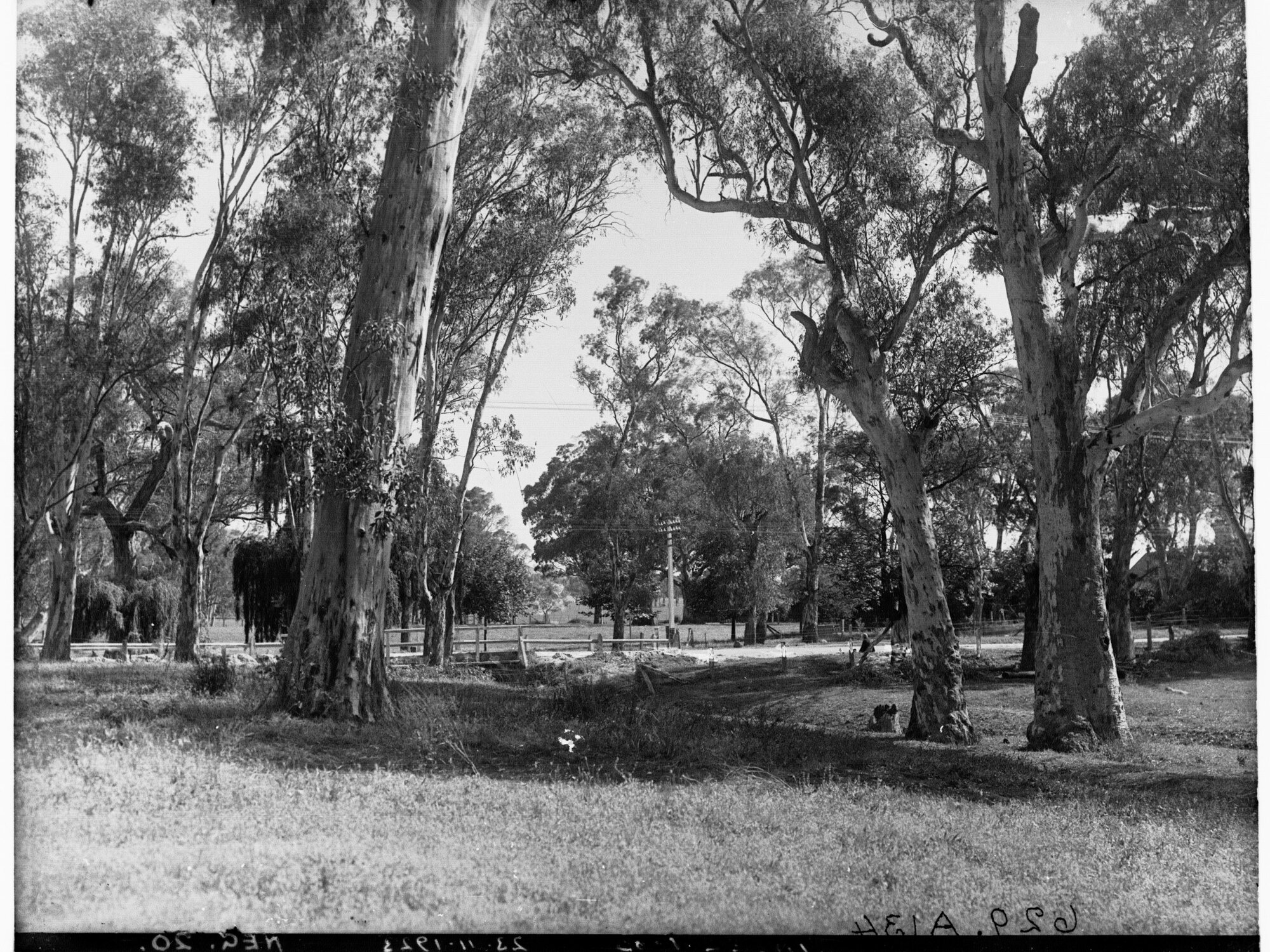 Hazelwood Park