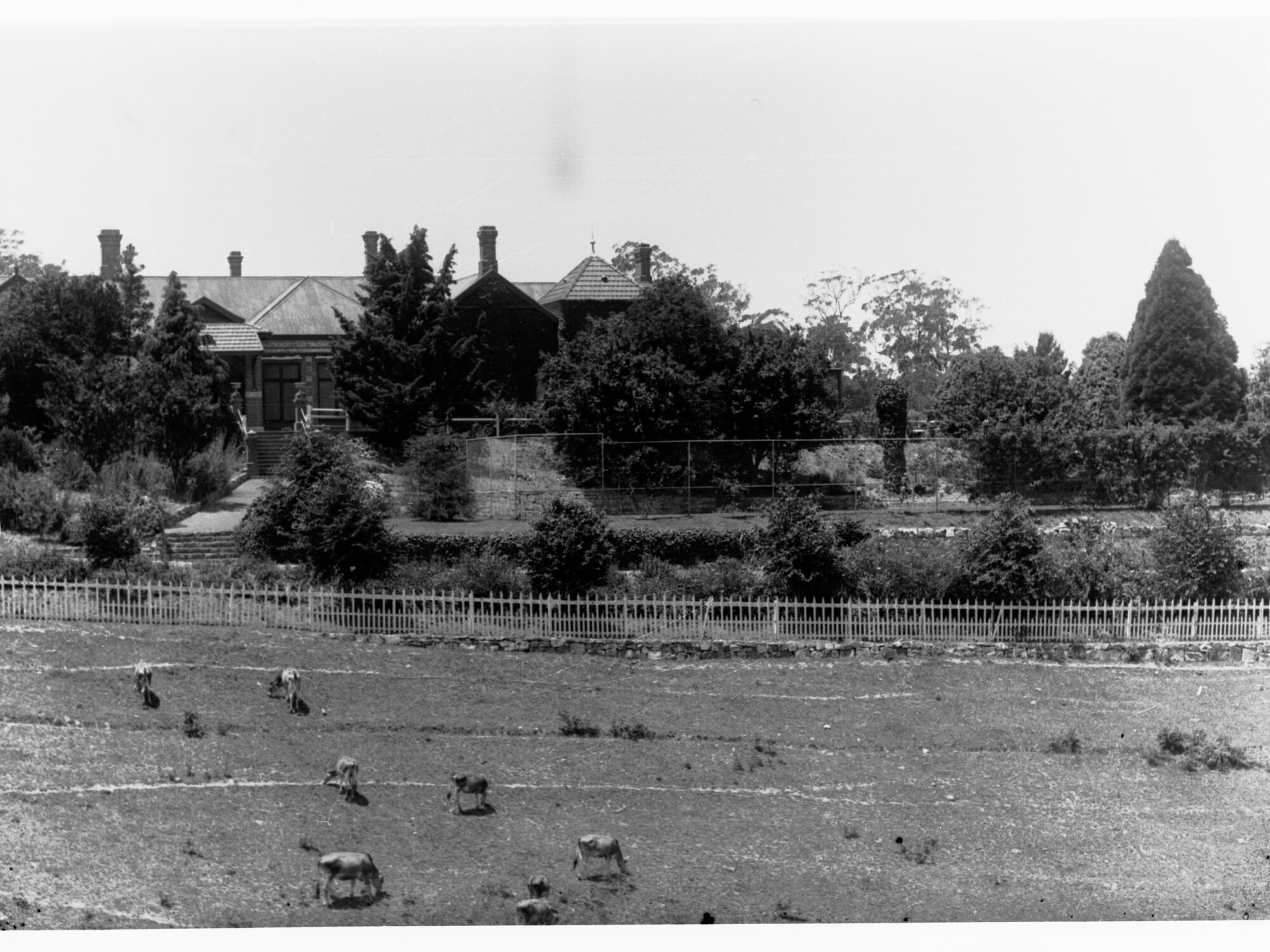 Upper Sturt private residence