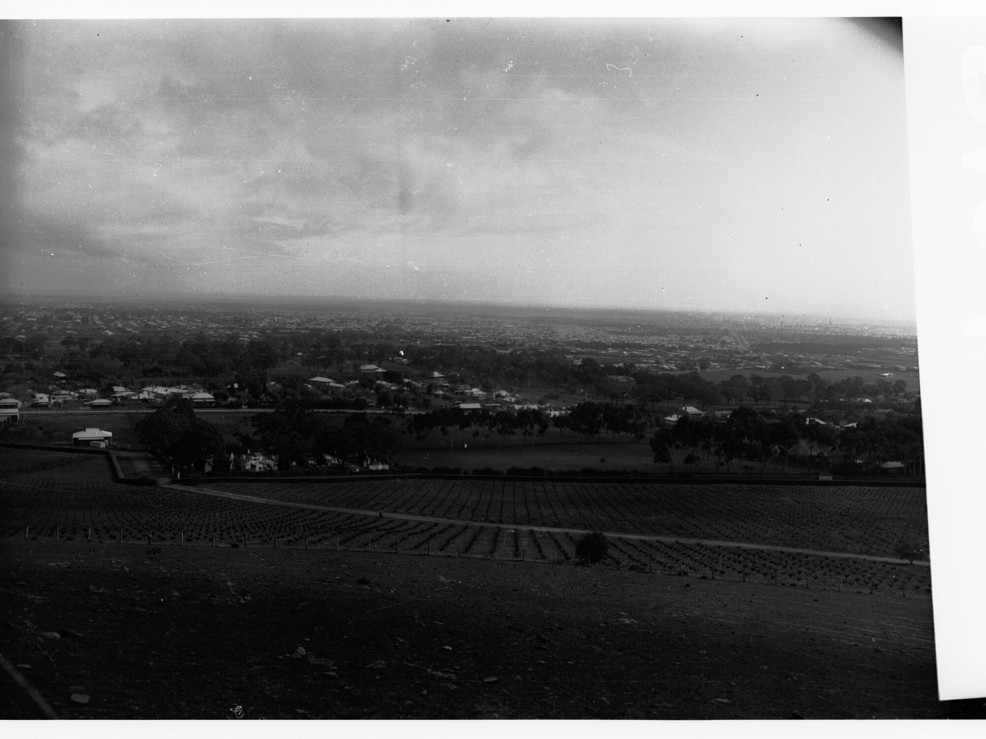 Farms and Fields at Glen Osmond with Residential Housing in Distance