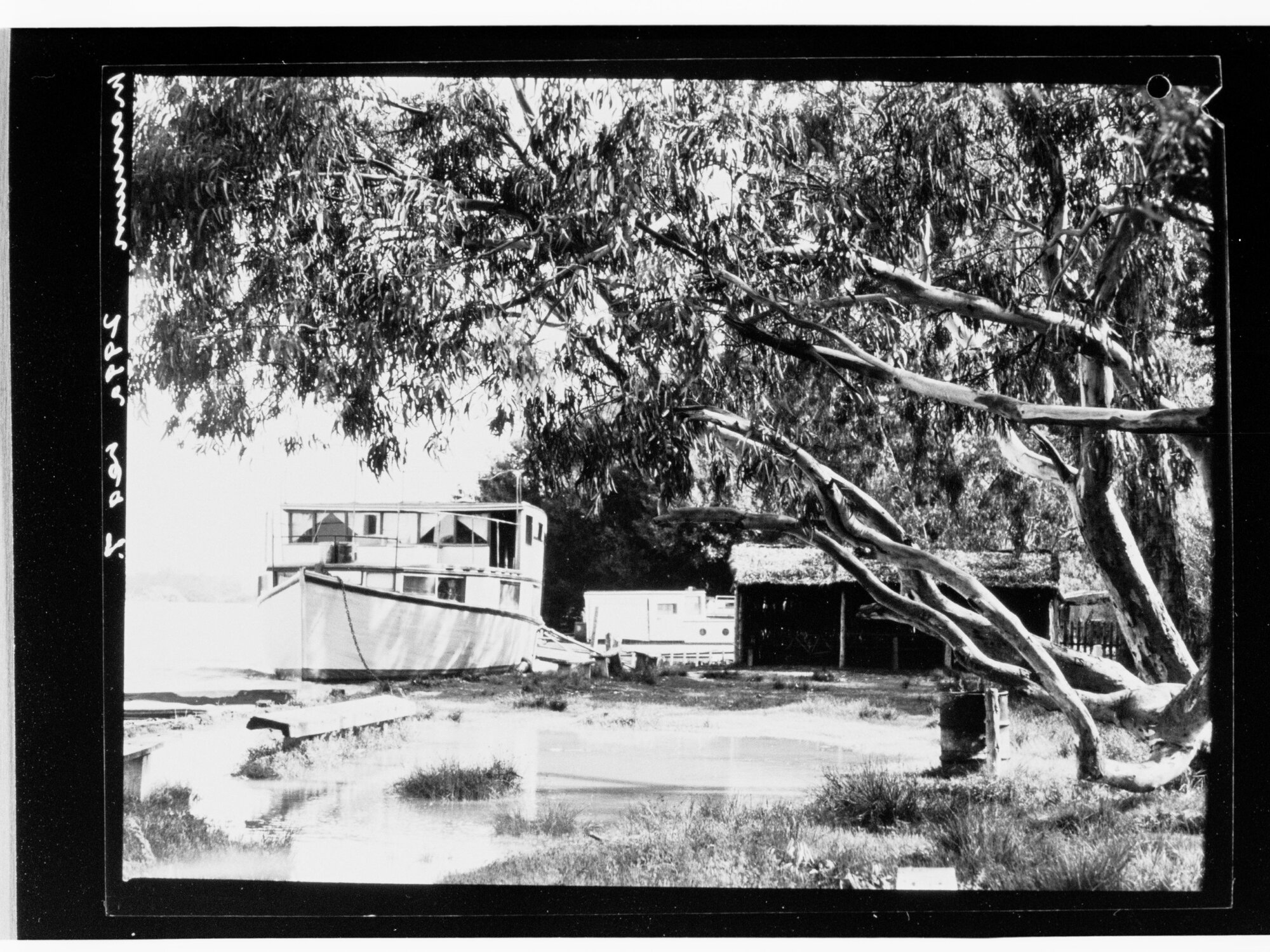 Mannum - houseboats moored at riverbank