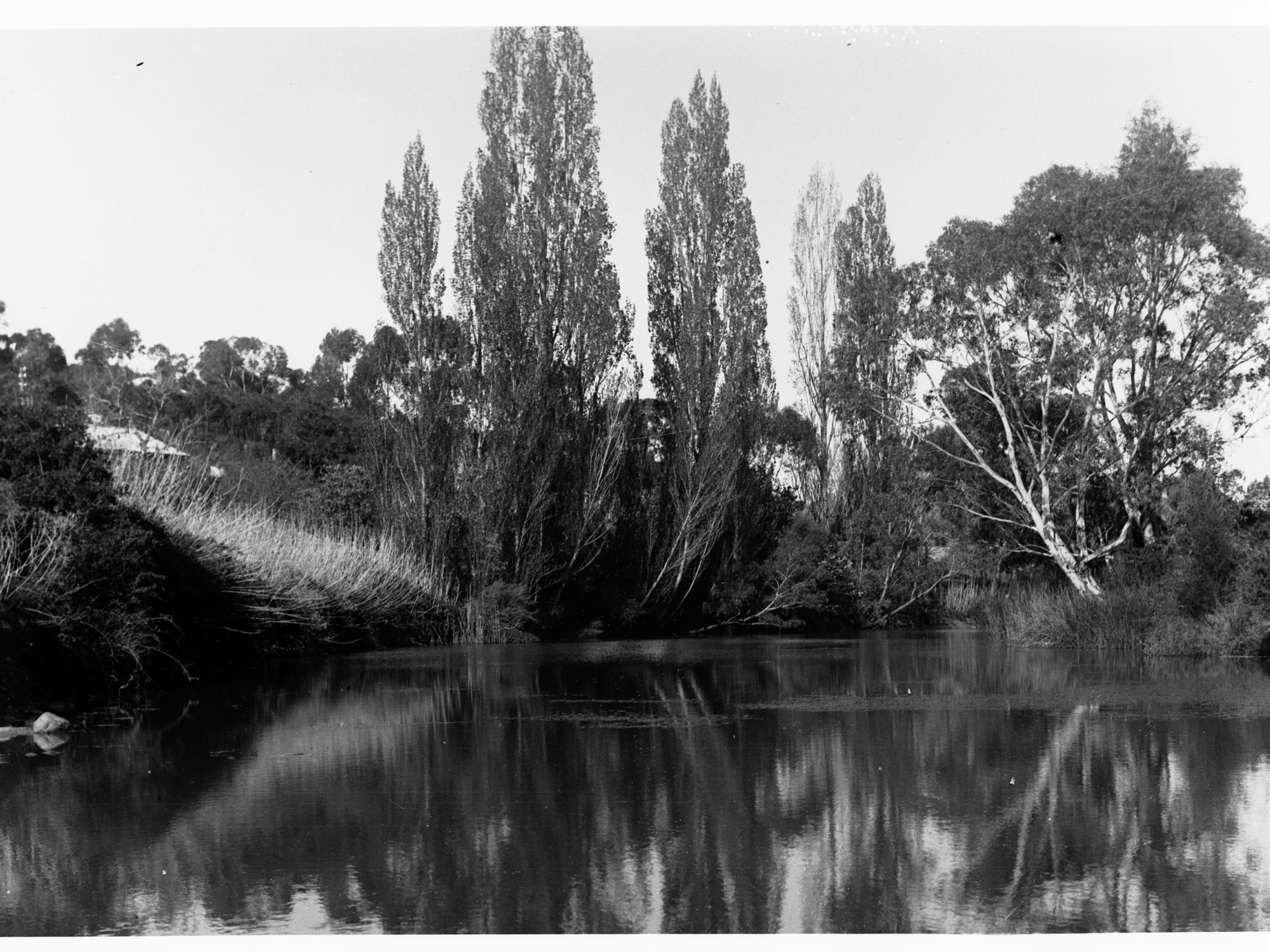View at Clarendon by lake