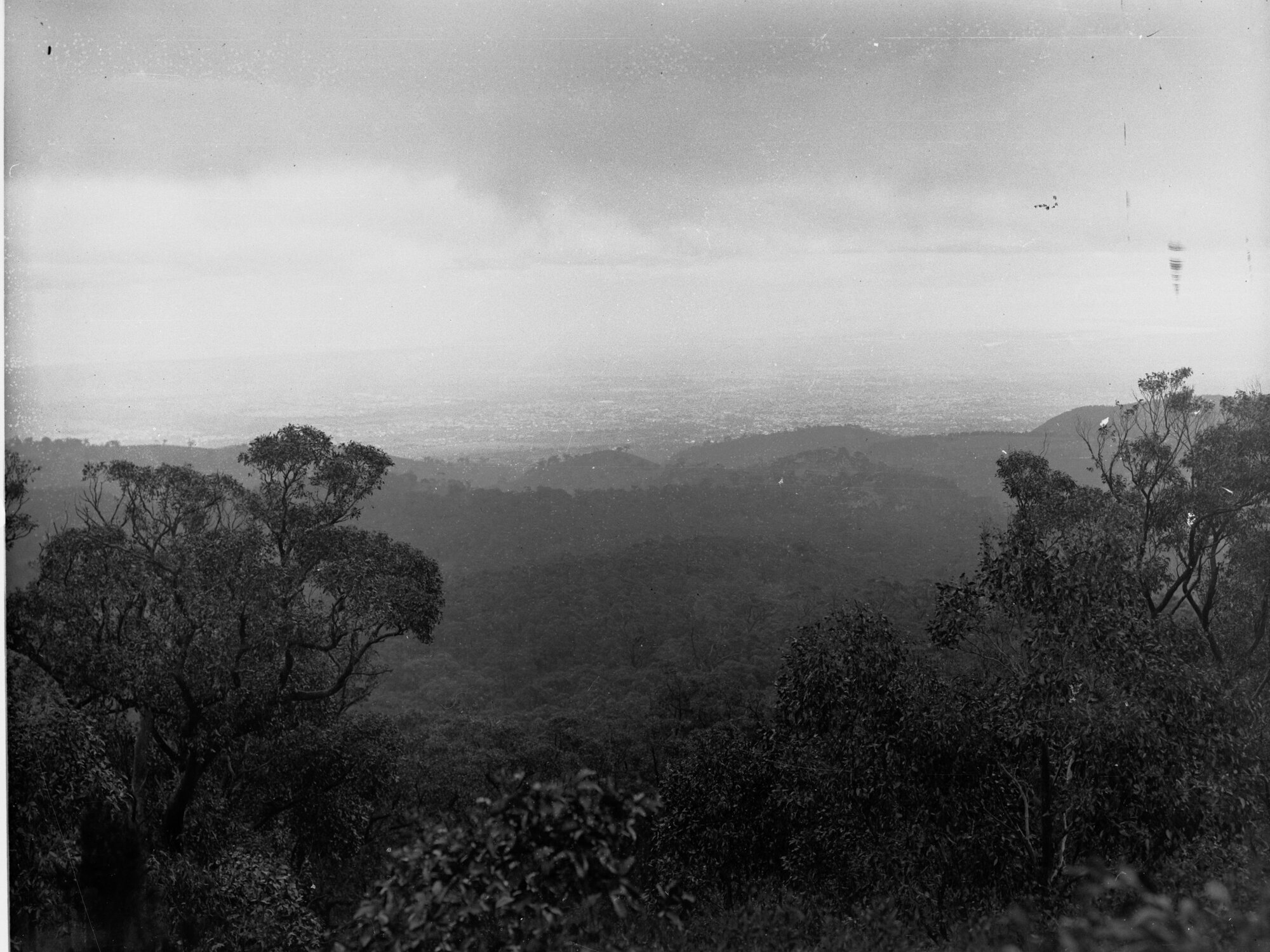 View of hills and trees, South Australia
