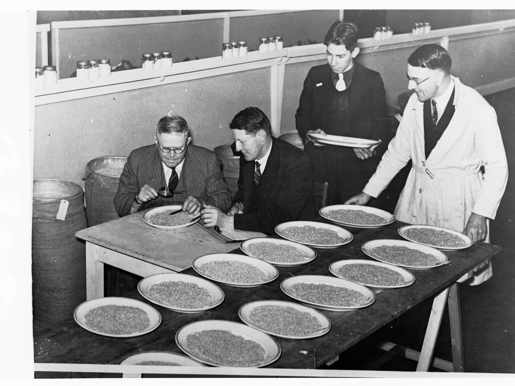 Men checking on wheat