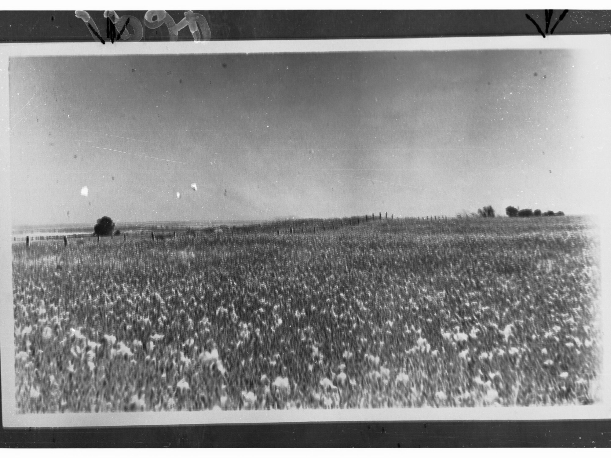 Rural View