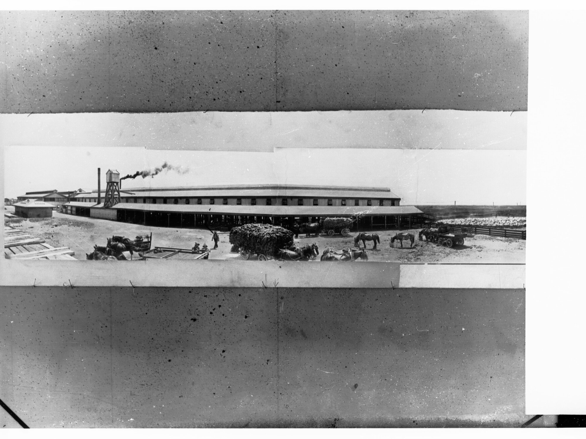 Panoramic View of Government Export Depot