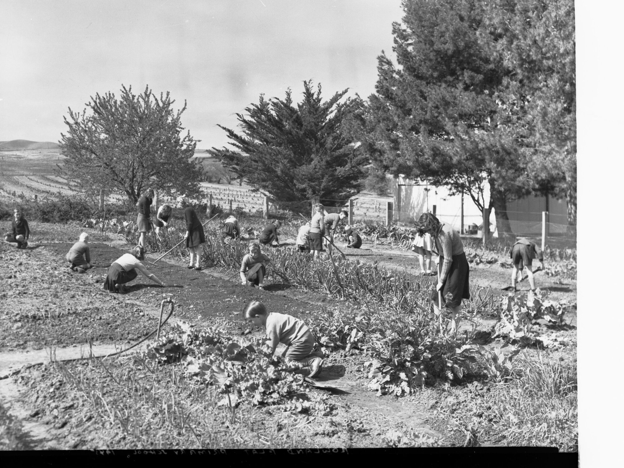Rowland Flat Primary School Students in Garden