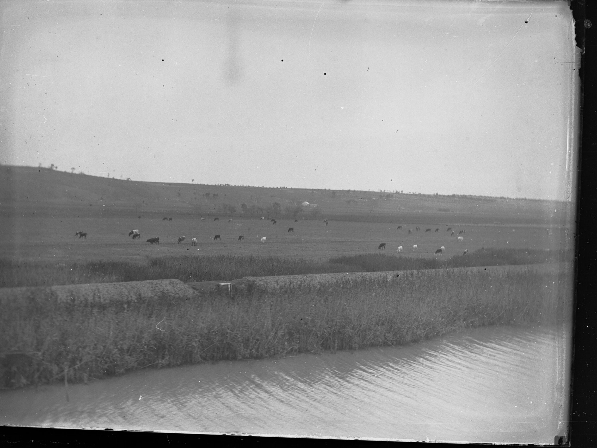 Premier Vaughan's visit to Murray River
