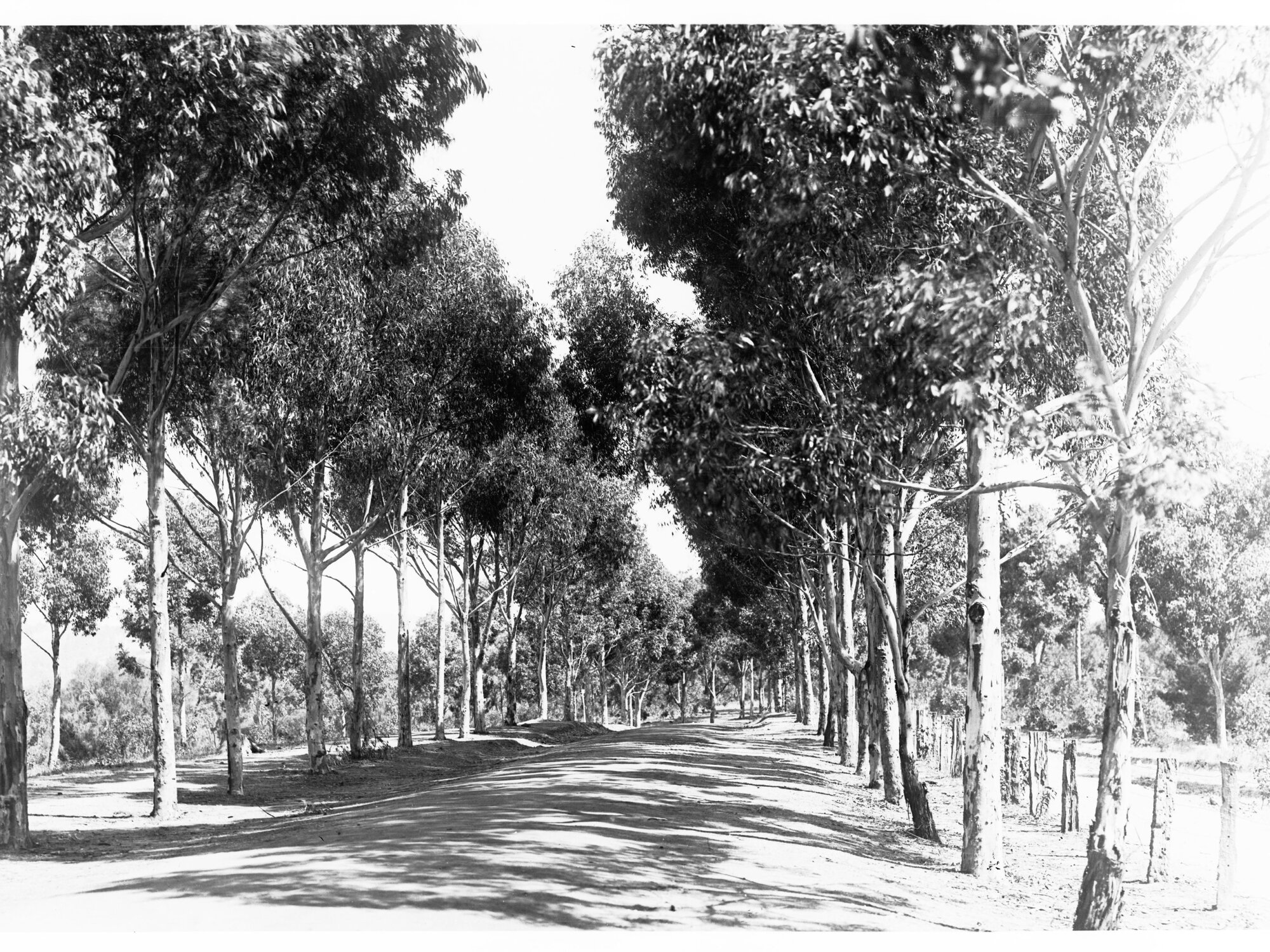 Avenue Belair National Park
