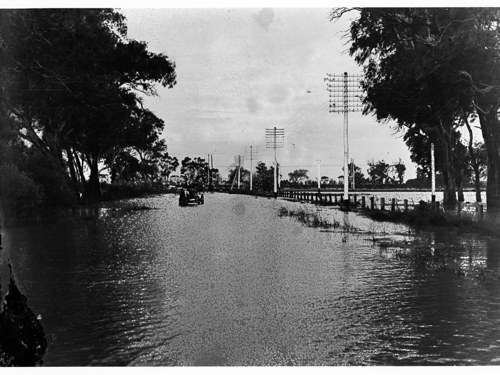 Flood at Lockleys