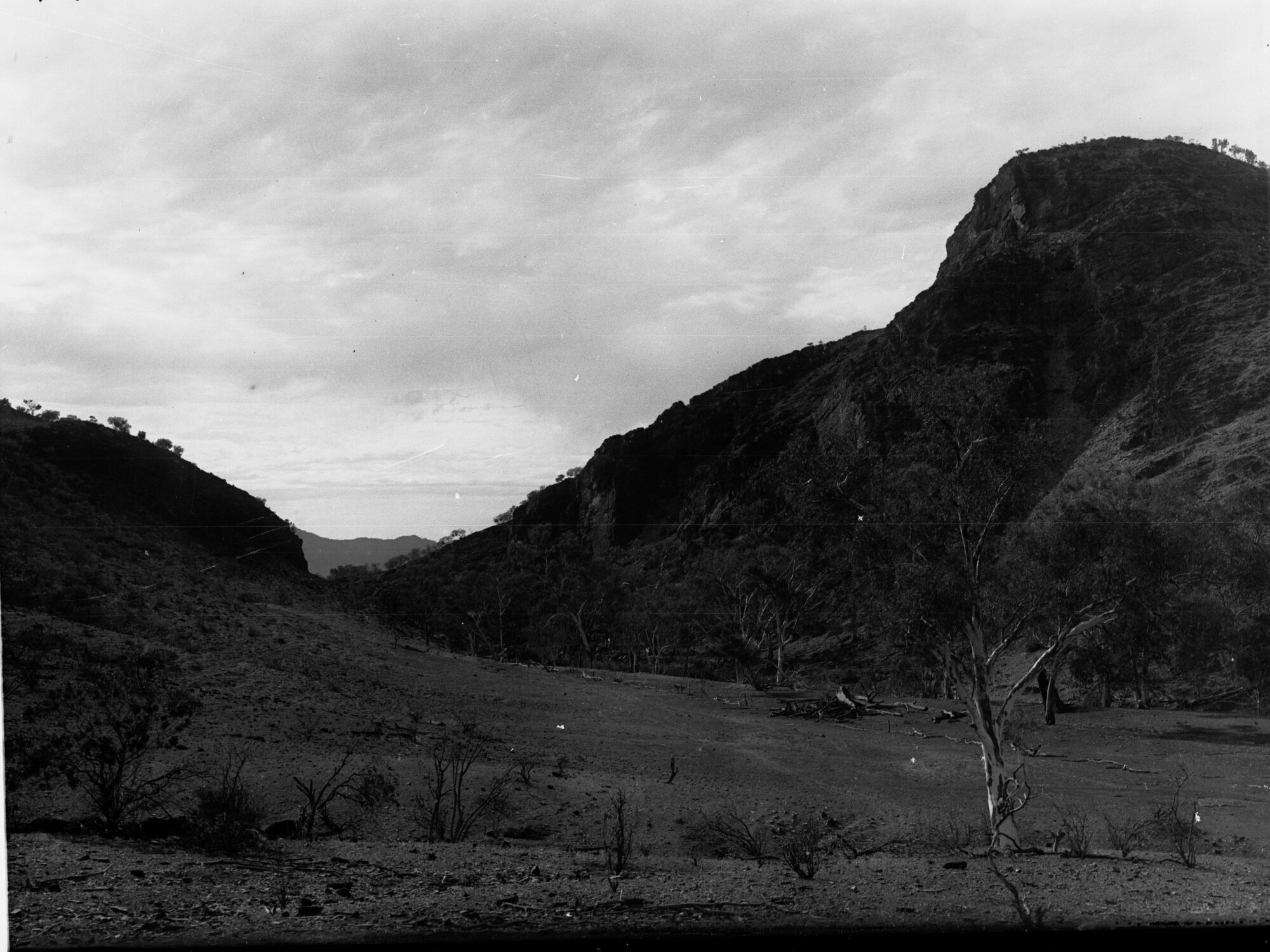 Nepowie Gorge Flinders Ranges | History Trust