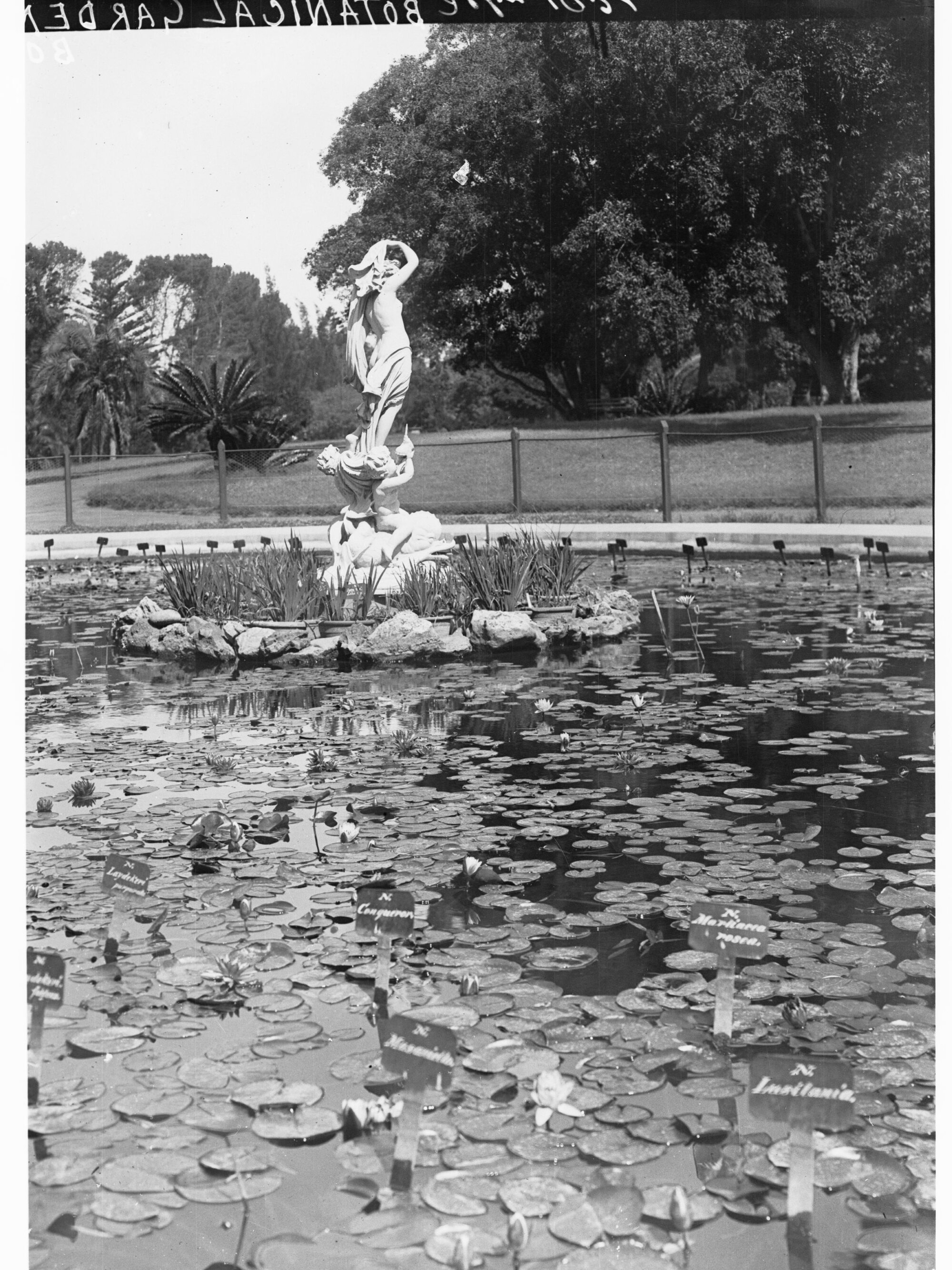 Botanic Gardens fountain
