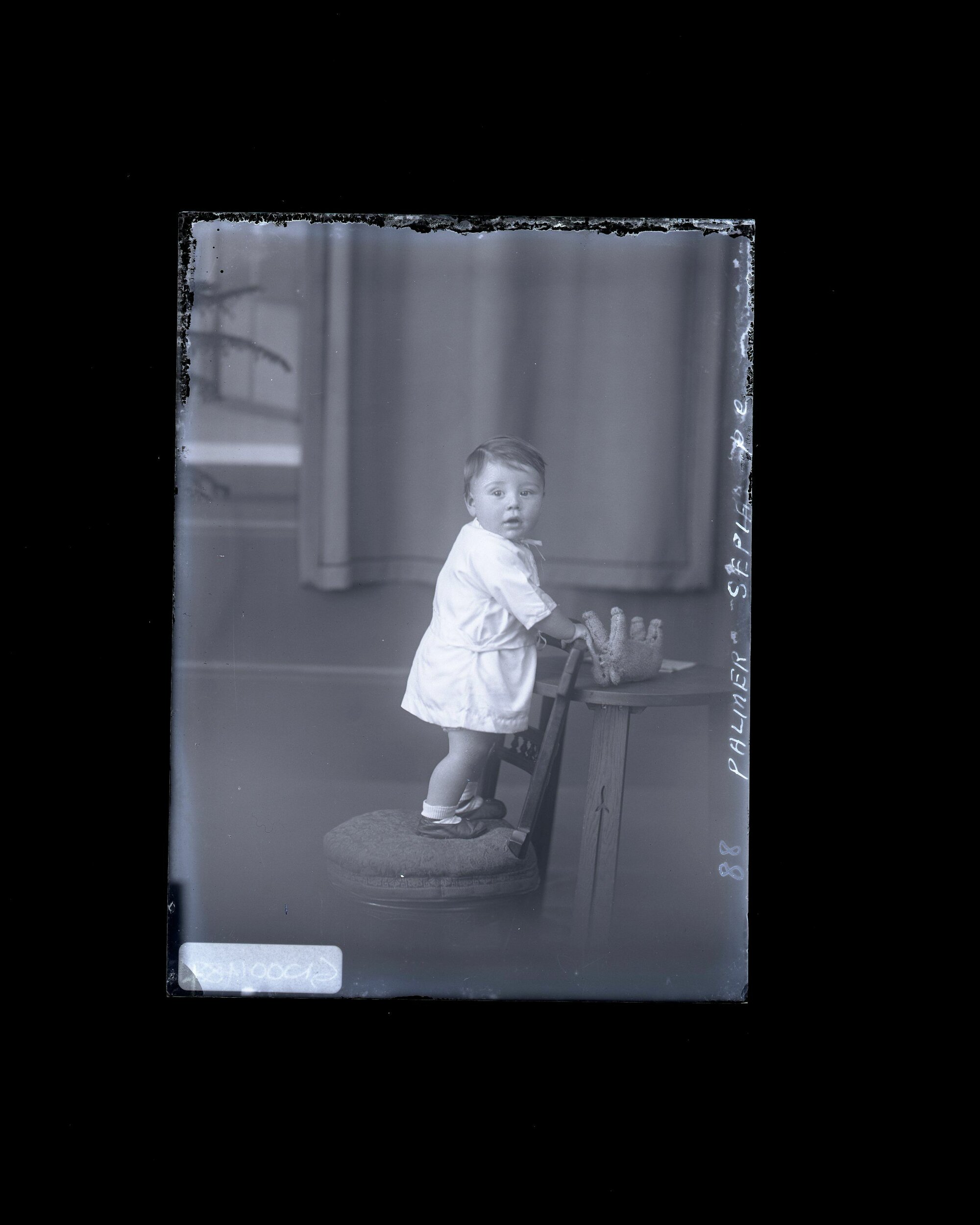 Toddler - Palmer
