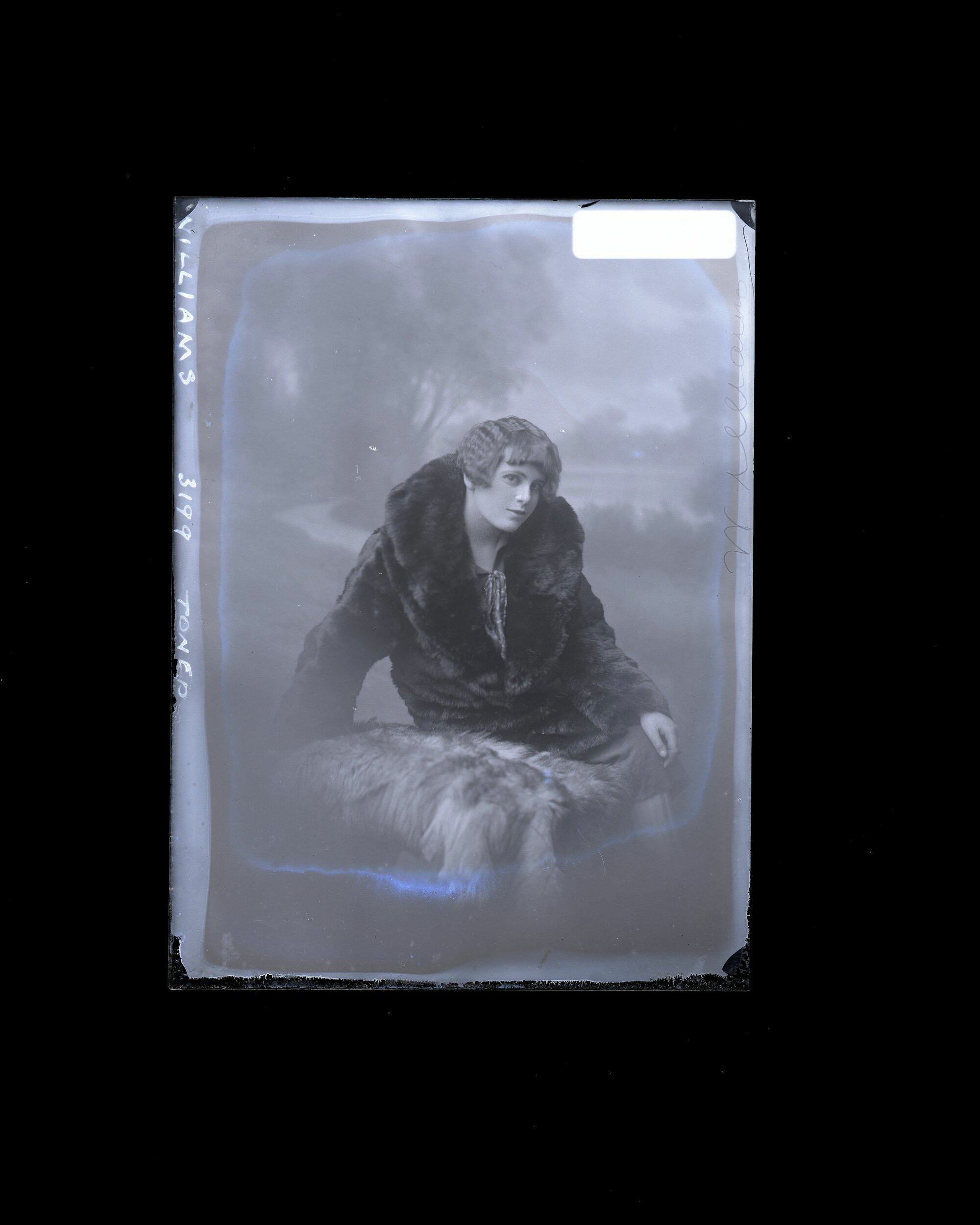 Woman - Williams