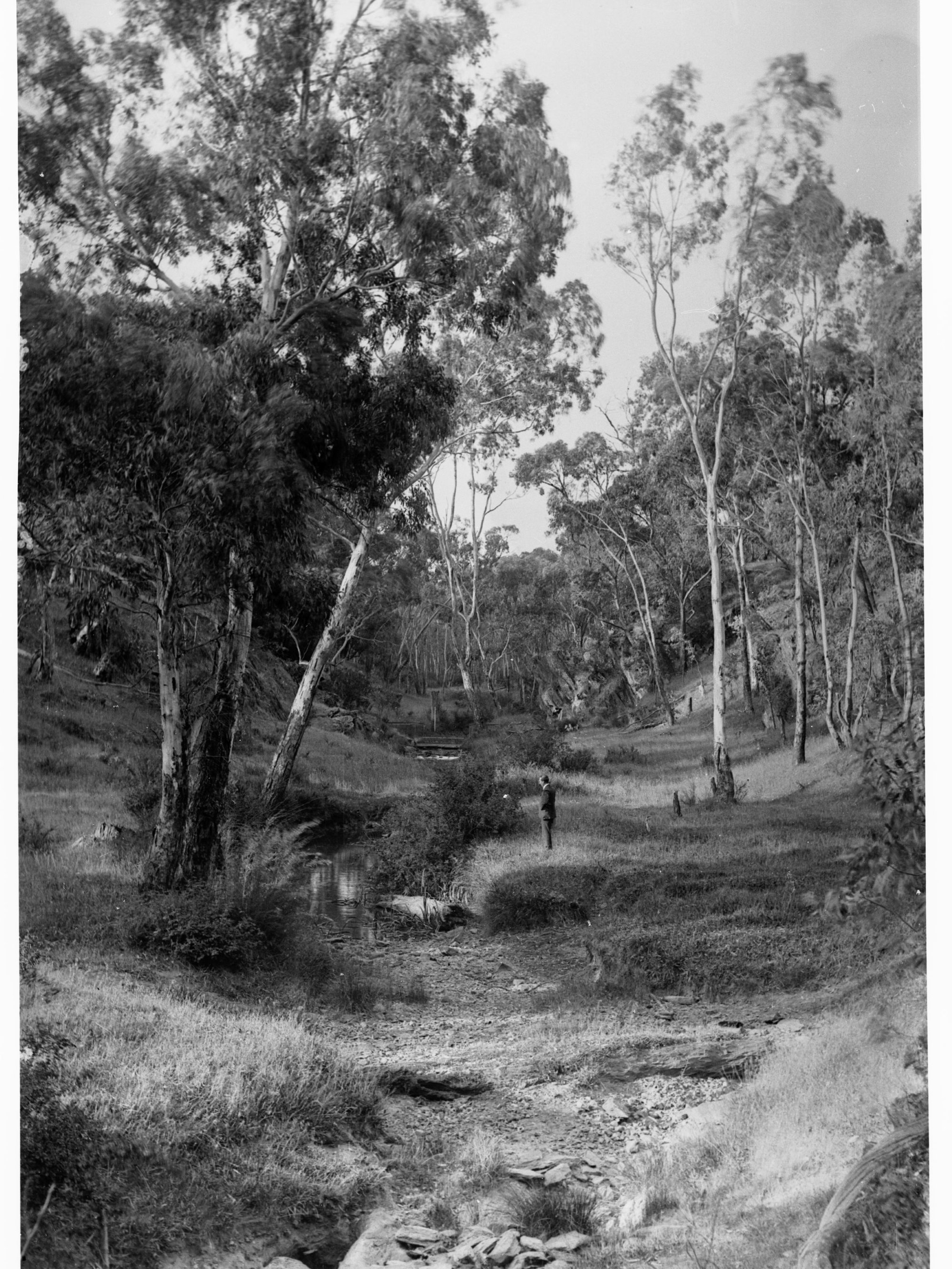 Chain of Ponds