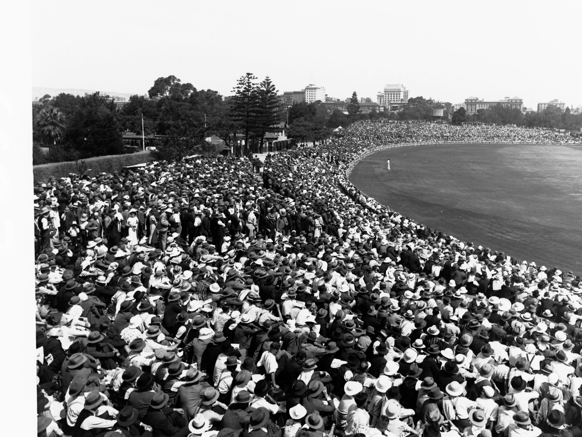 Cricket at Adelaide Oval