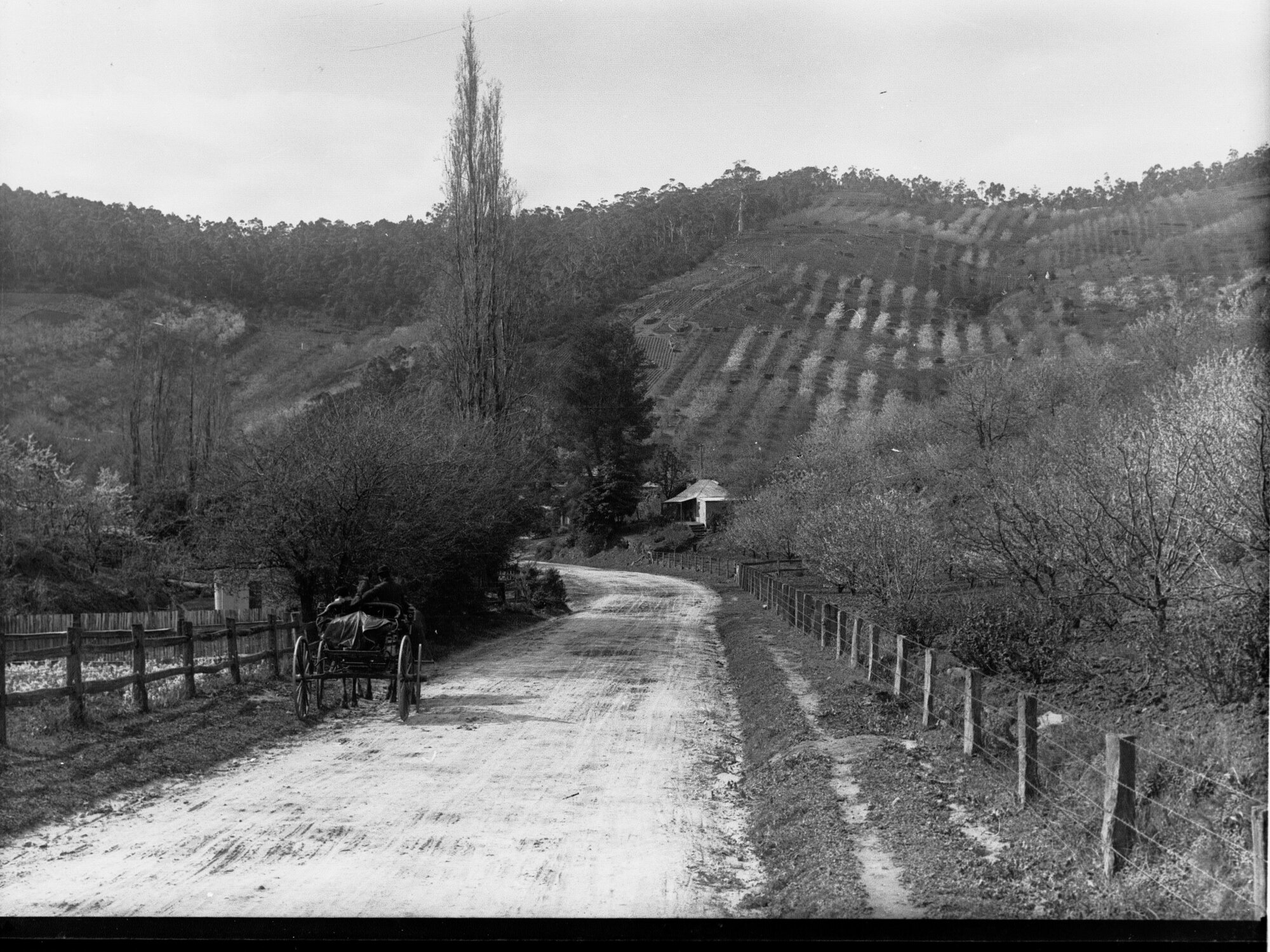 Mount Lofty Ranges Norton Summit Road