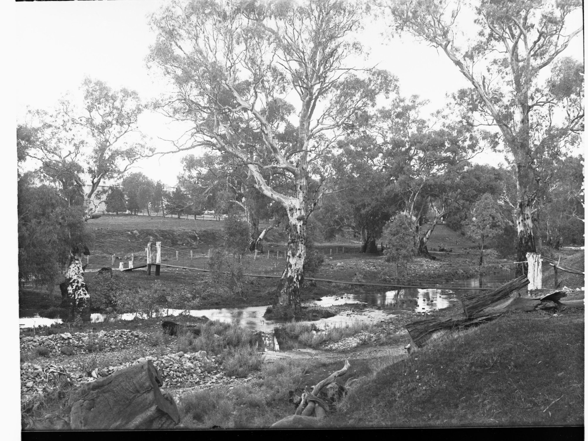 Suspension Bridge Over Willochra Creek Melrose