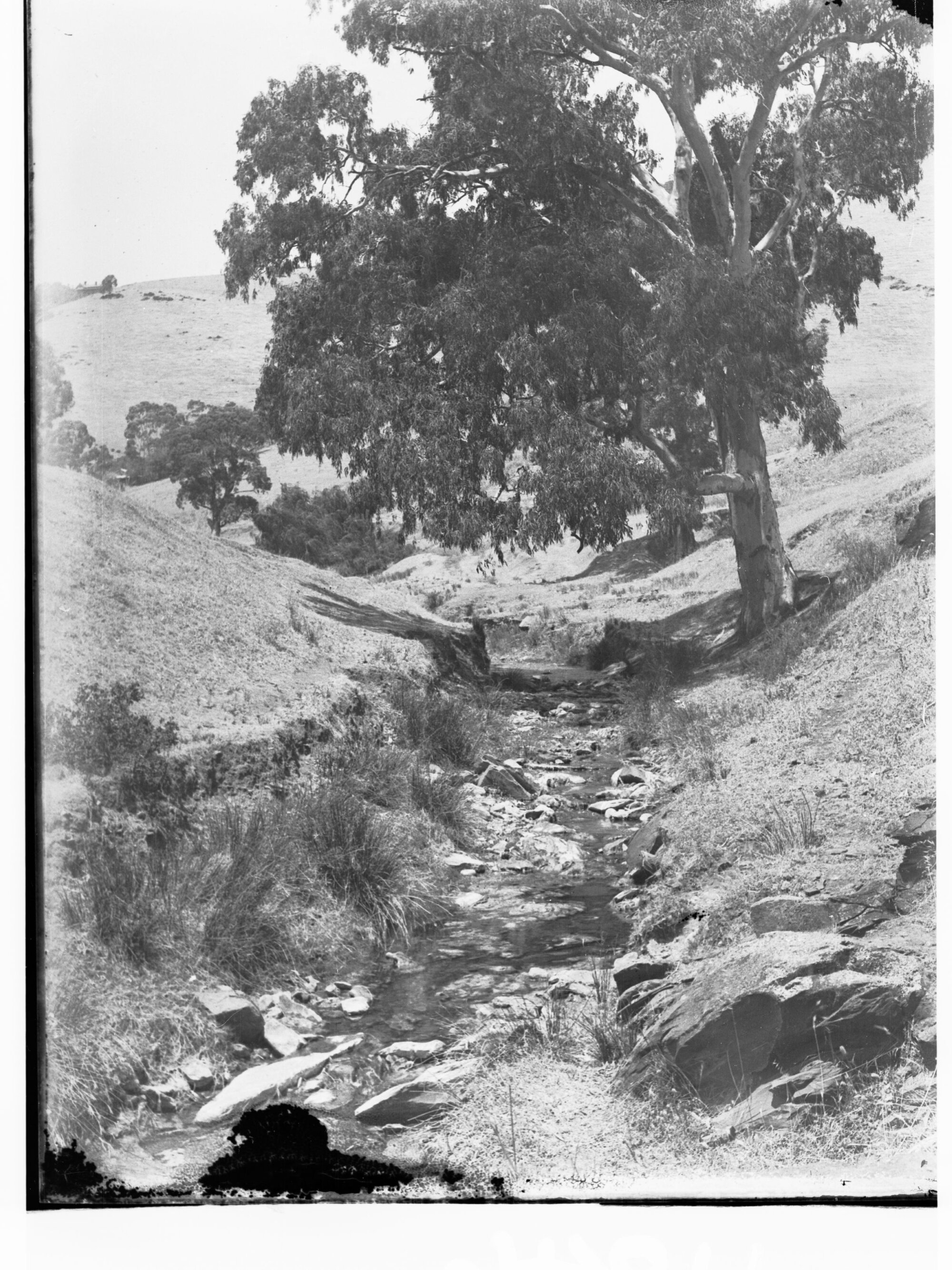 Brownhill Creek