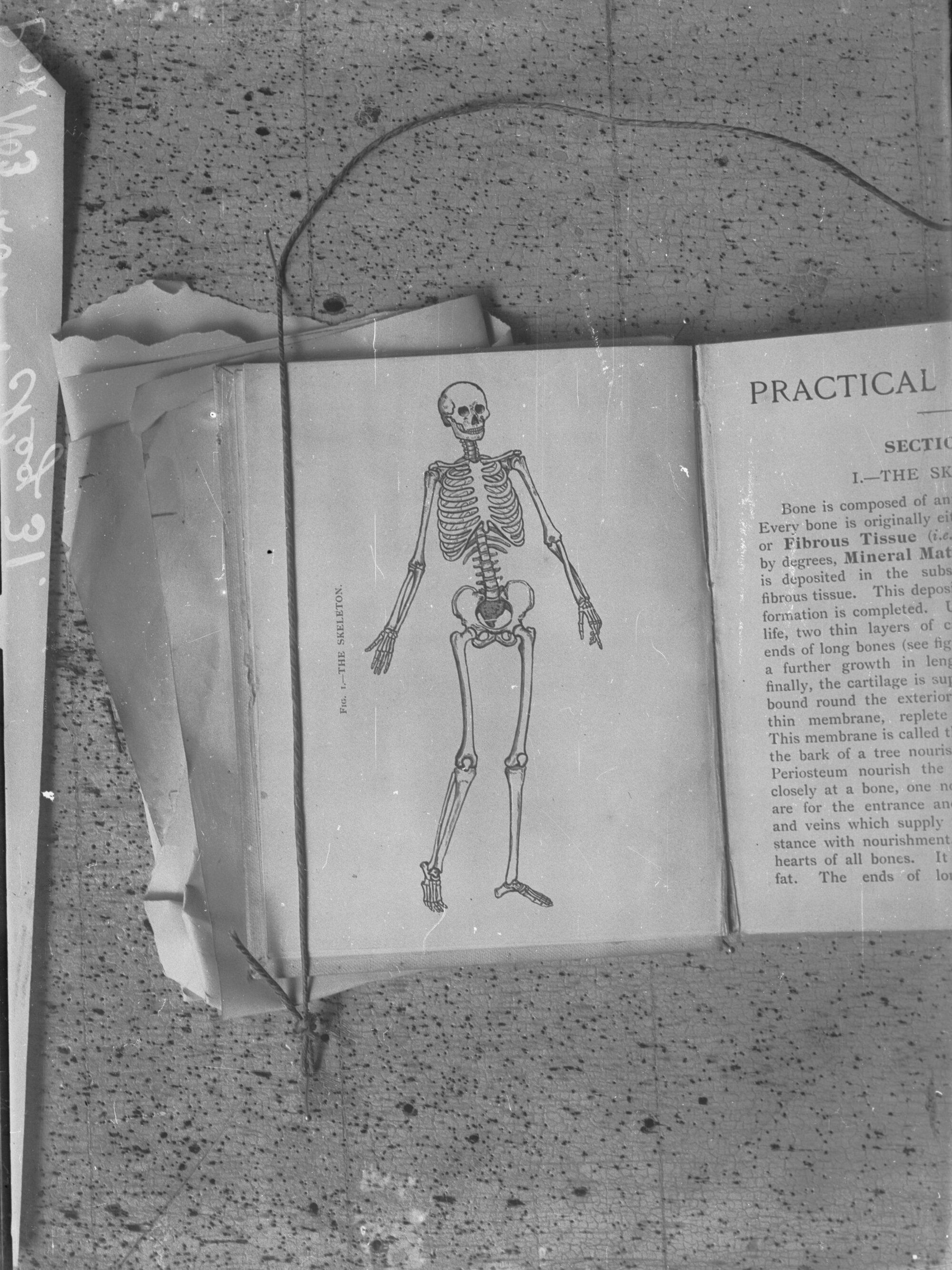 First Aid class: class conducted by Dr Rogers