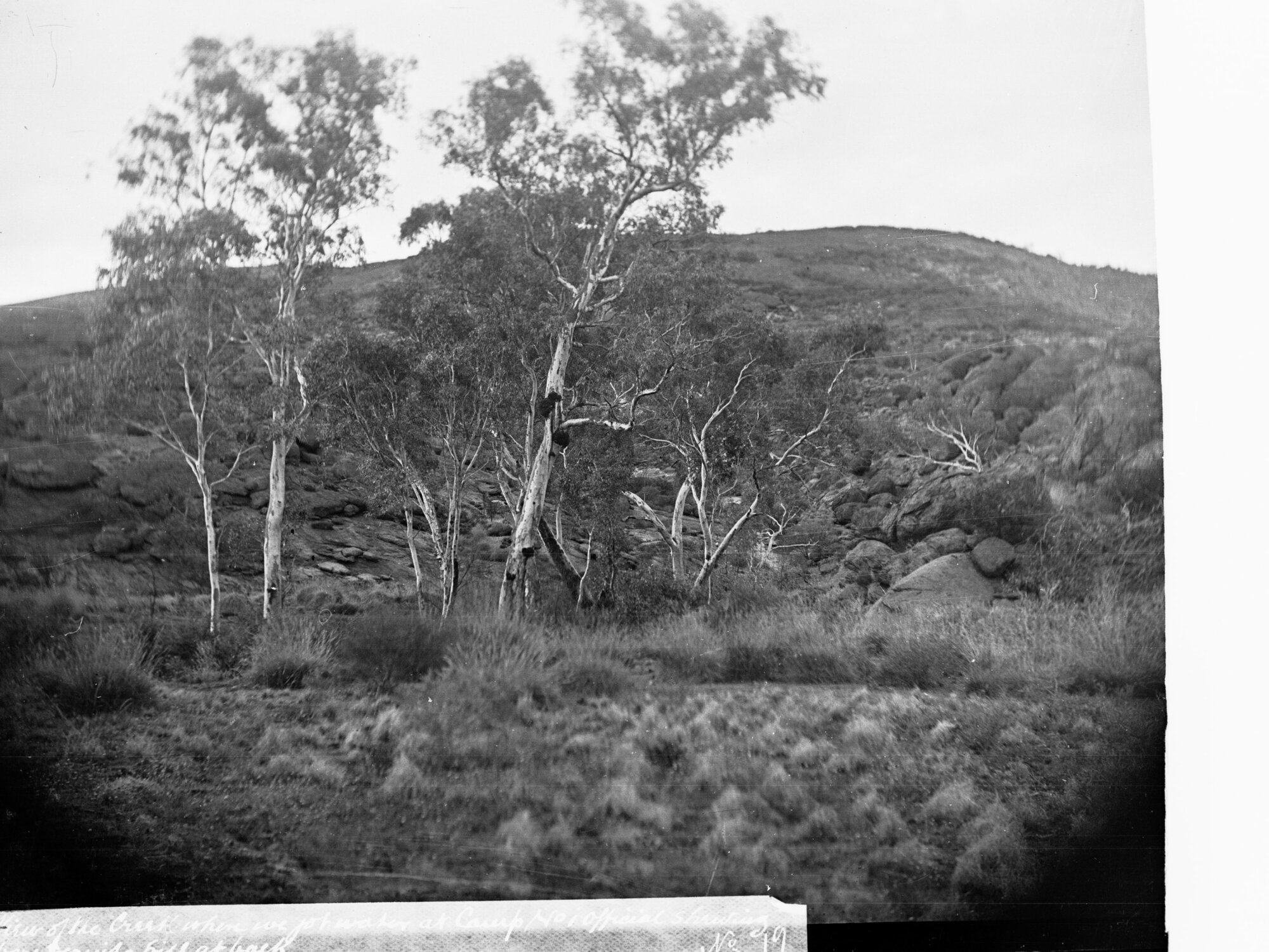 View of Creek With Granite Hill in the Background Elder Scientific Expedition