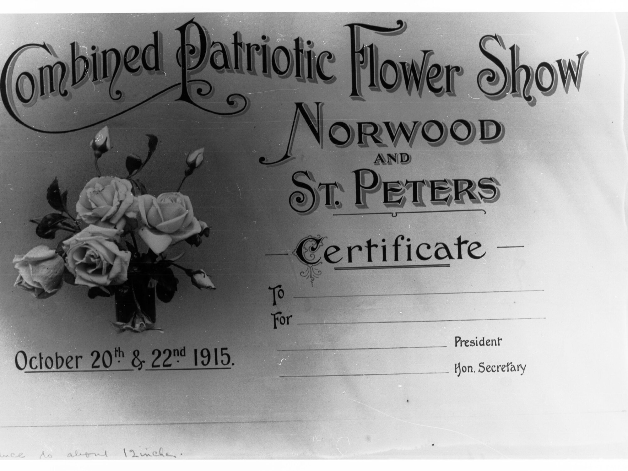 Combined Patriotic Flower Show Certificate