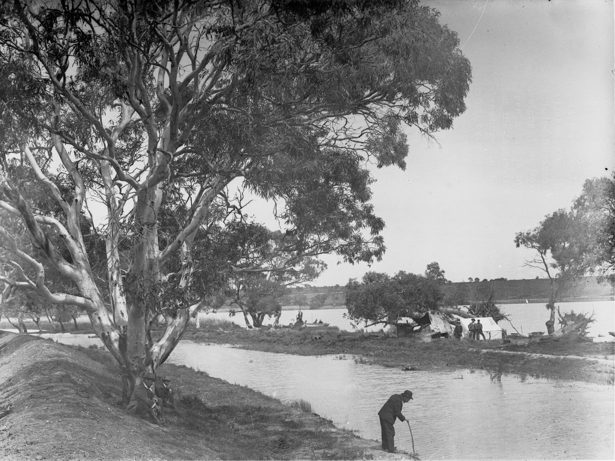 River Murray near Monteith