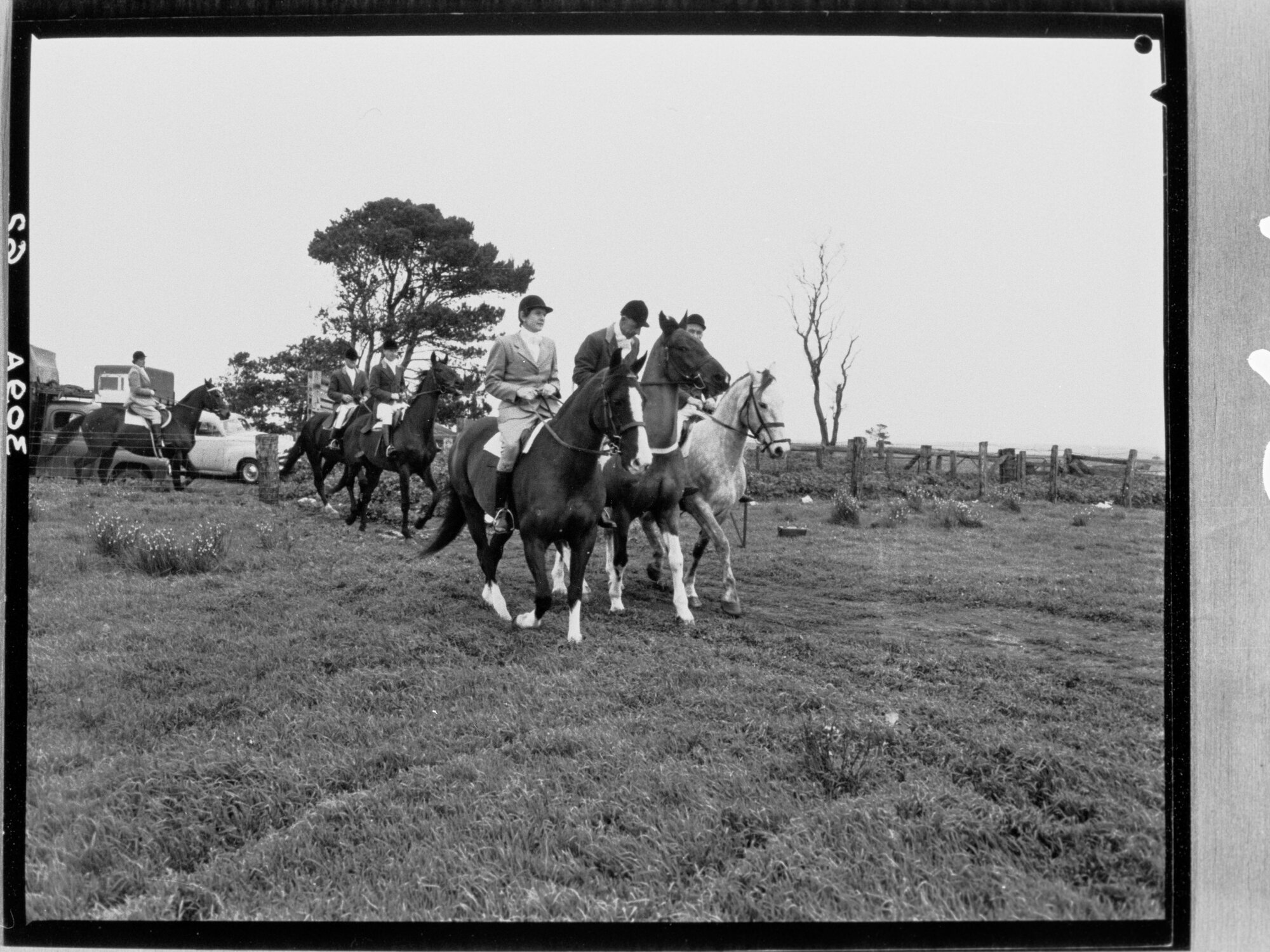 Horse Riding 