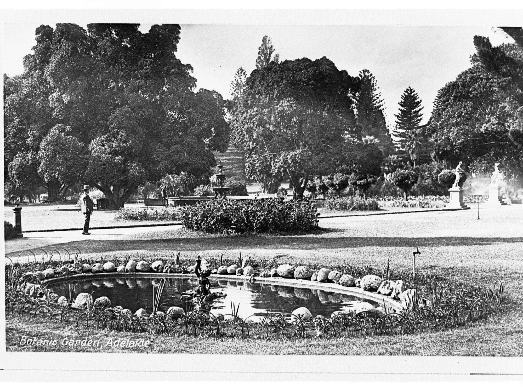 Botanic Garden Adelaide