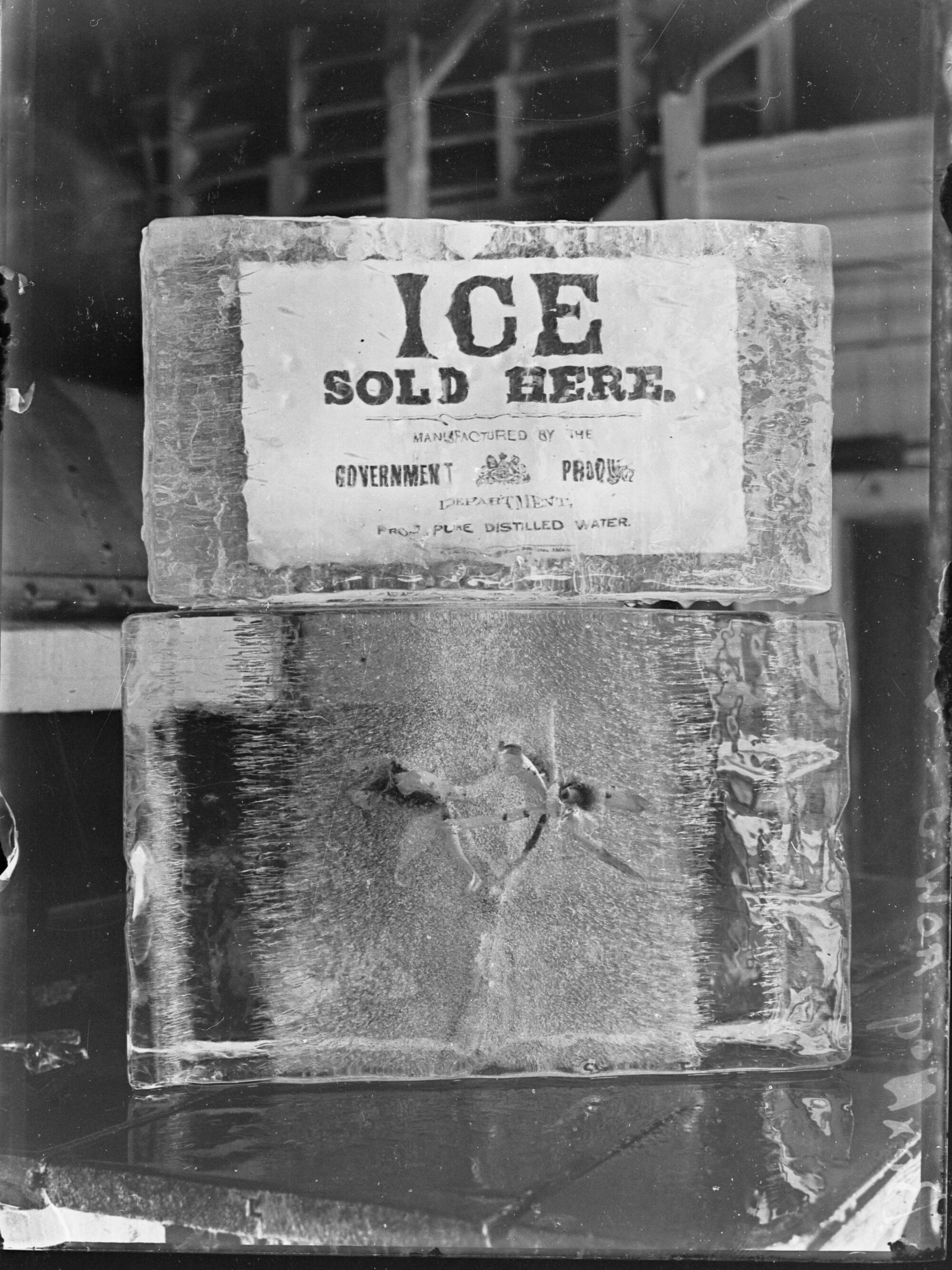 Ice being sold, from Government Produce Depot