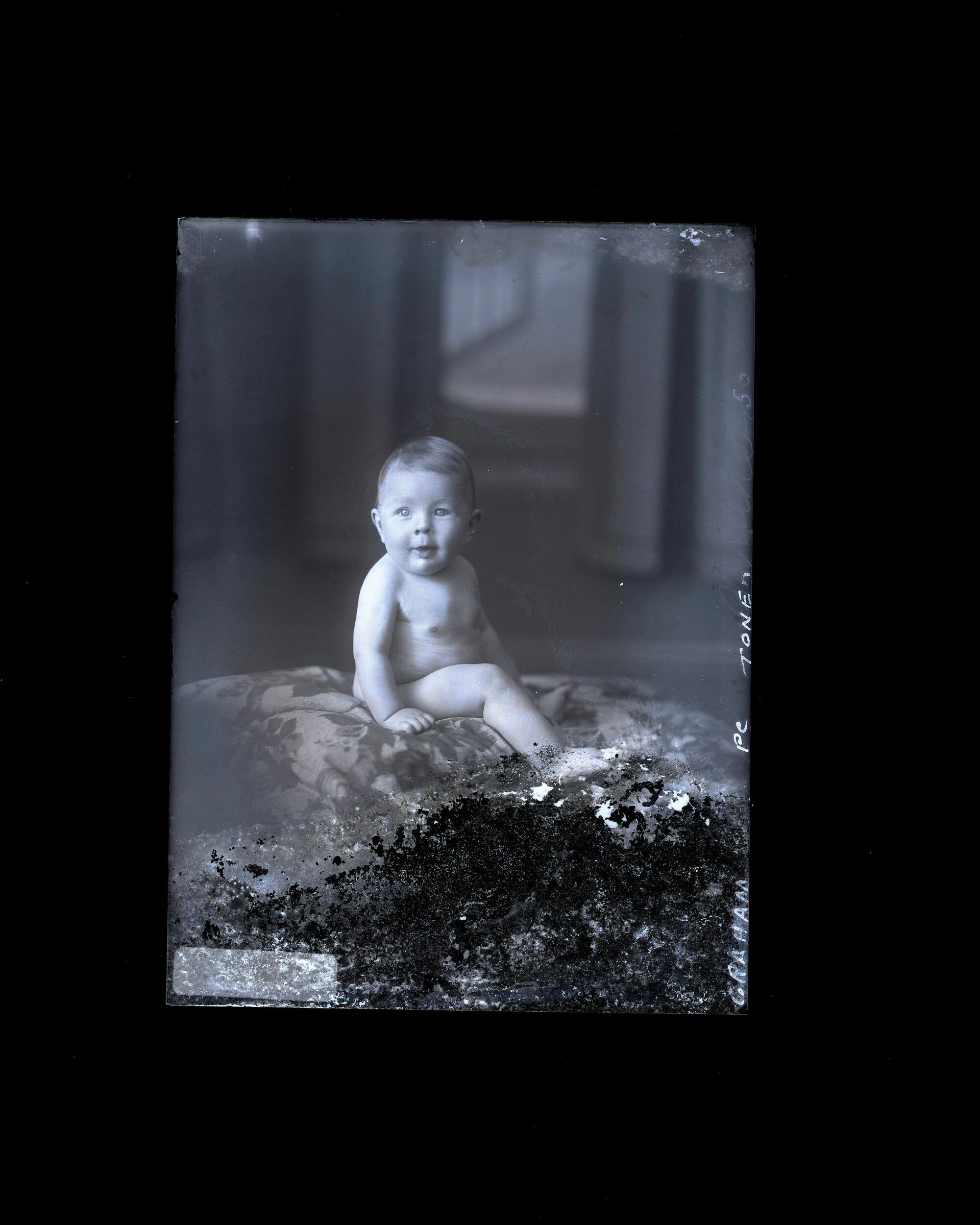 Infant - Graham