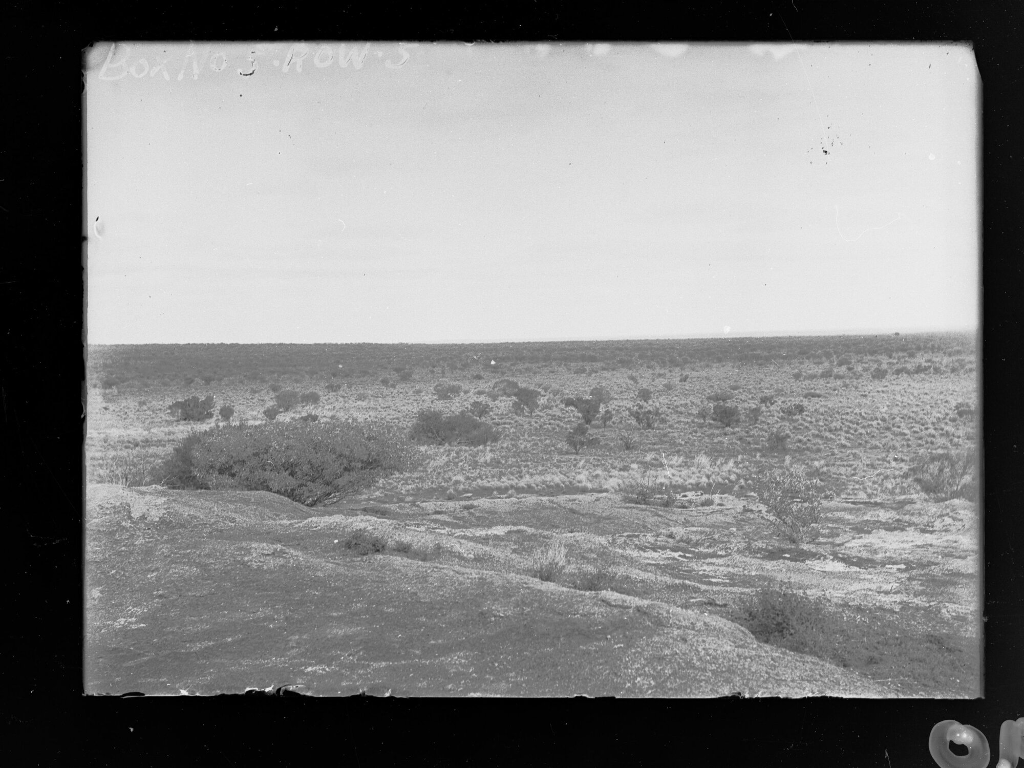View of Nullarbor Plain - survey of East West Railway