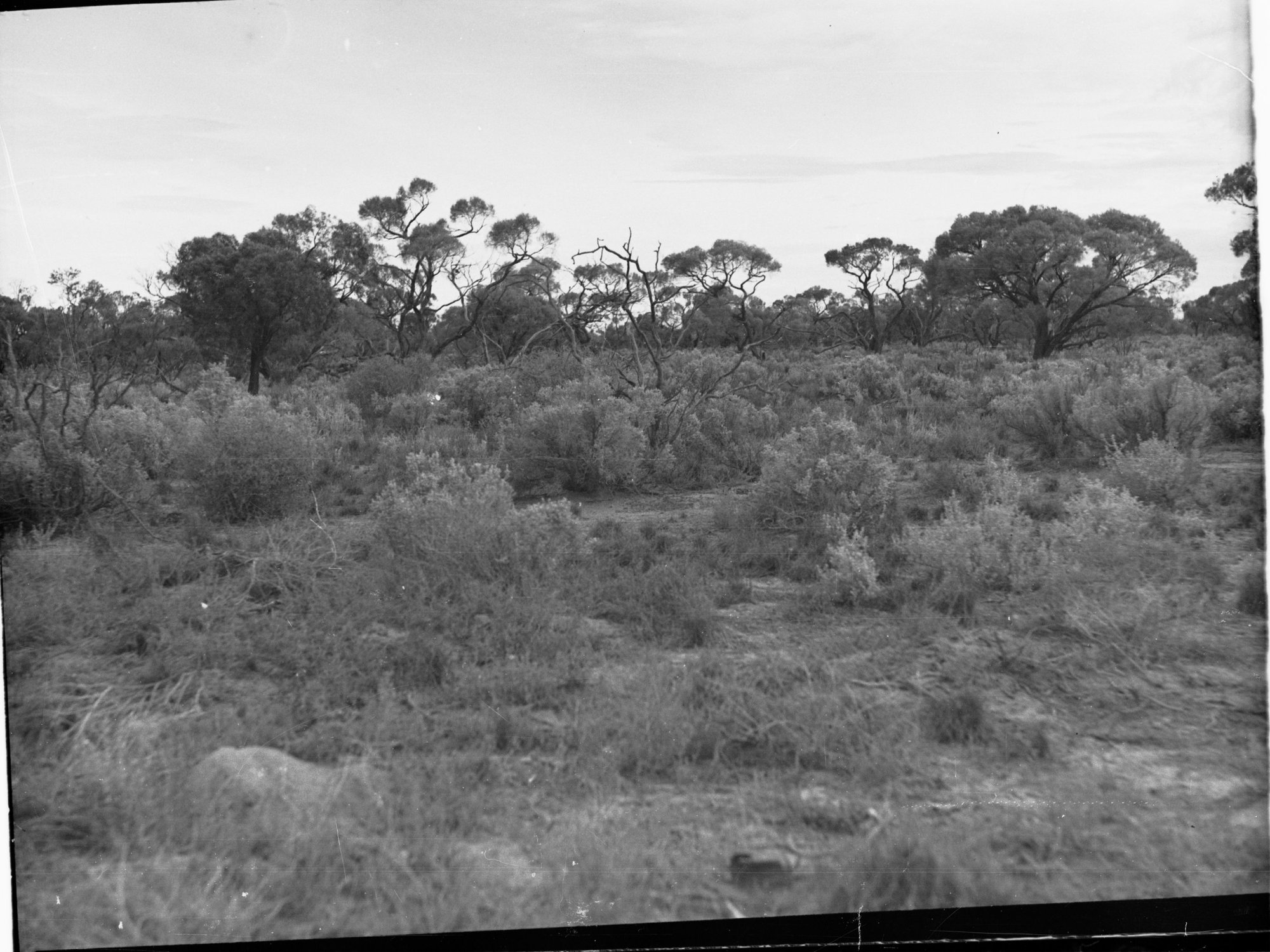 Engineering and Water Supply Department, South Australia. Rural View